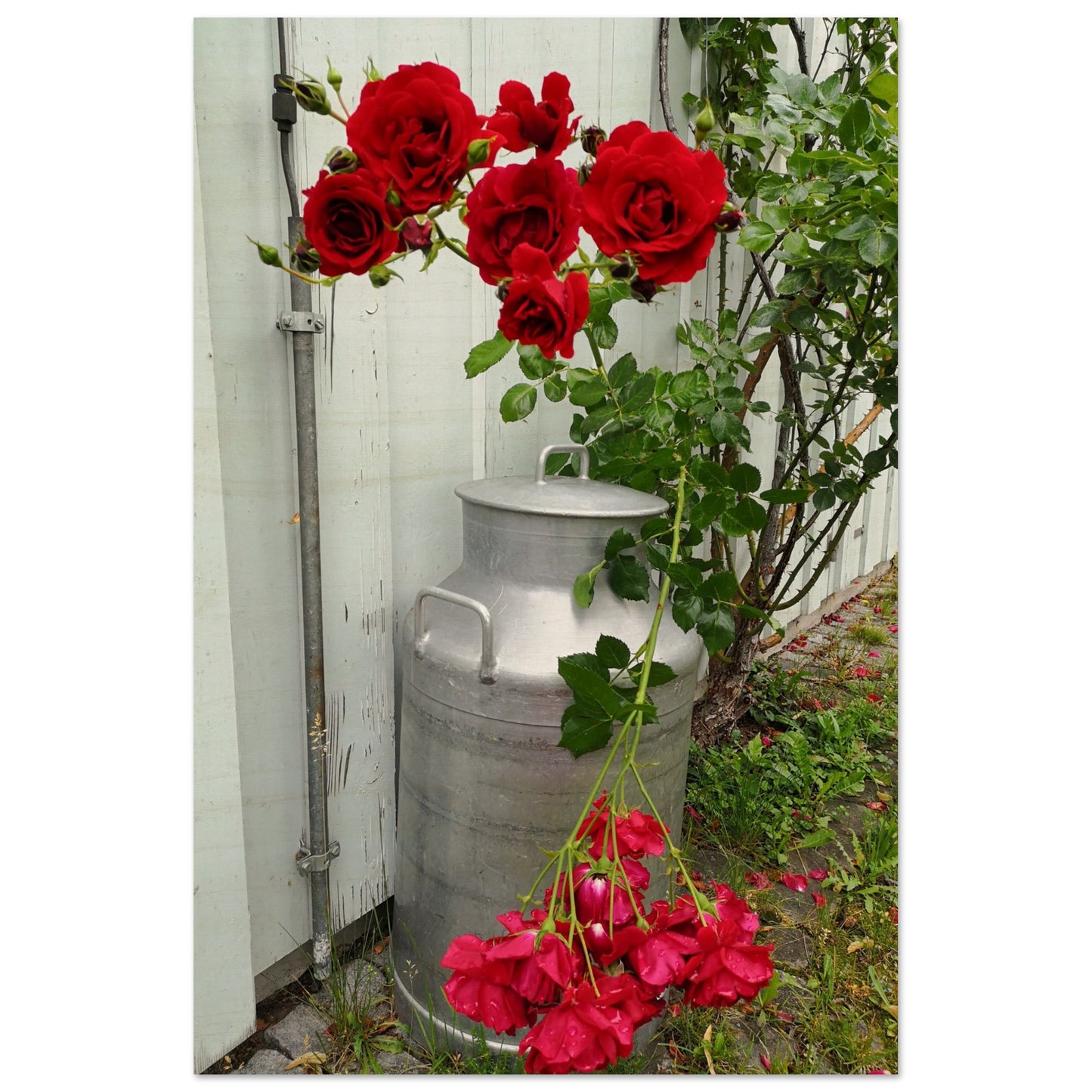 2d764f88-dd3a-49f3-b009-469eed98a500