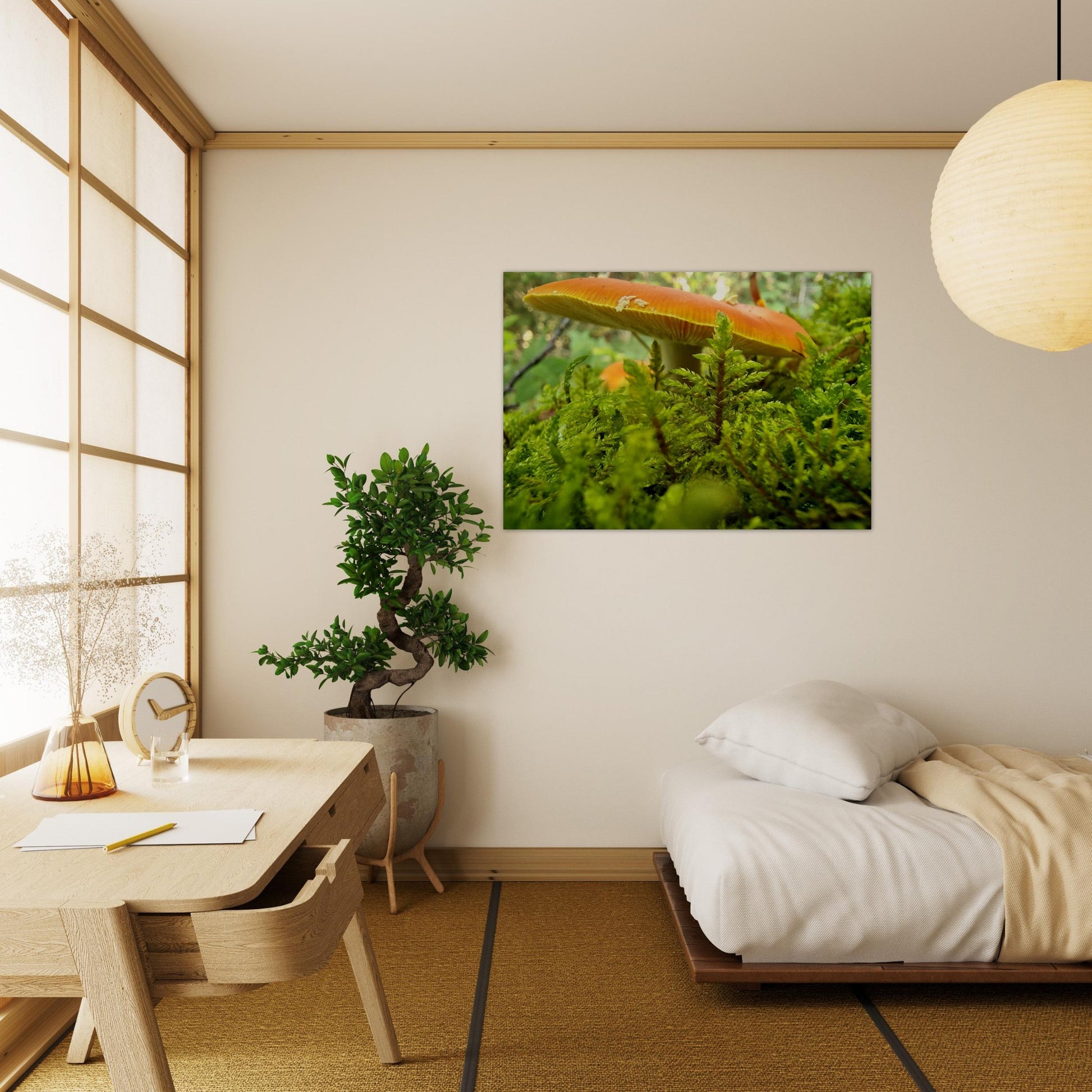 2d96d637-e24f-4696-bceb-eb0fa03812cb