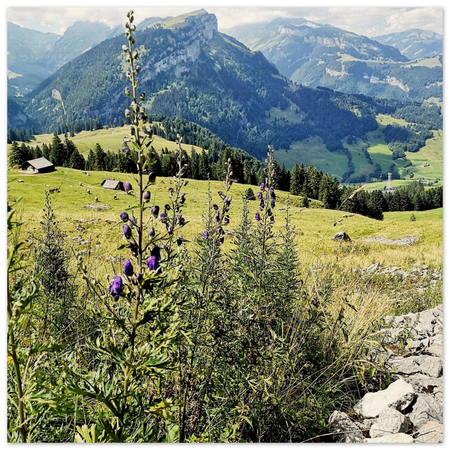 2da85dcd-7bf8-4d00-b7d8-13cba9eba888