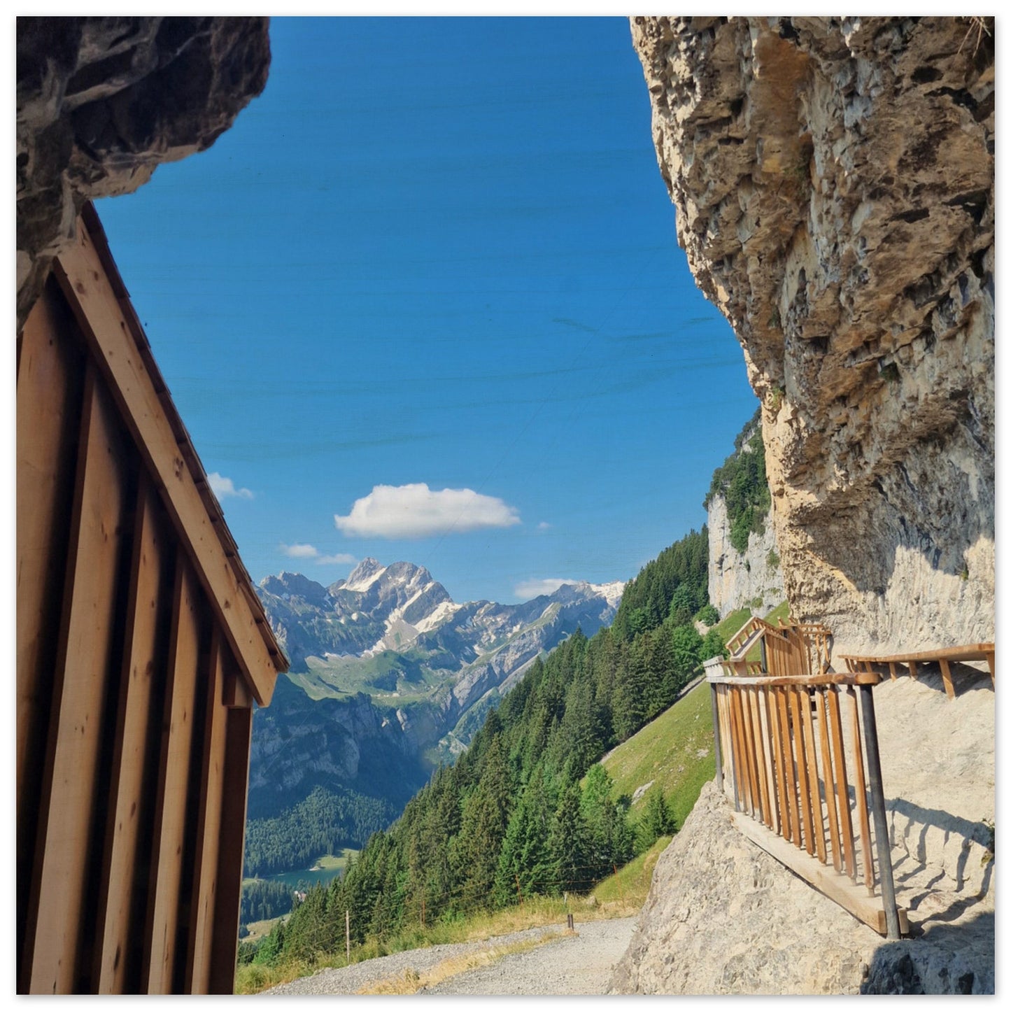 2ead9712-b3f2-485c-a2b4-600ac3990d9c