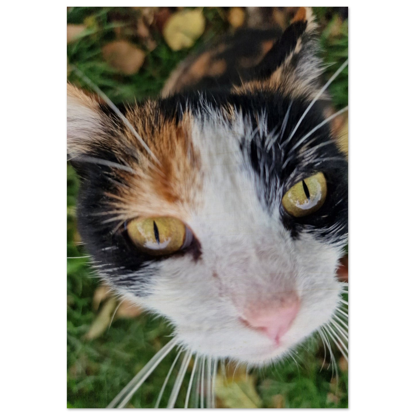 2f5b409e-e2ee-4bb4-978f-b1eda78d0150