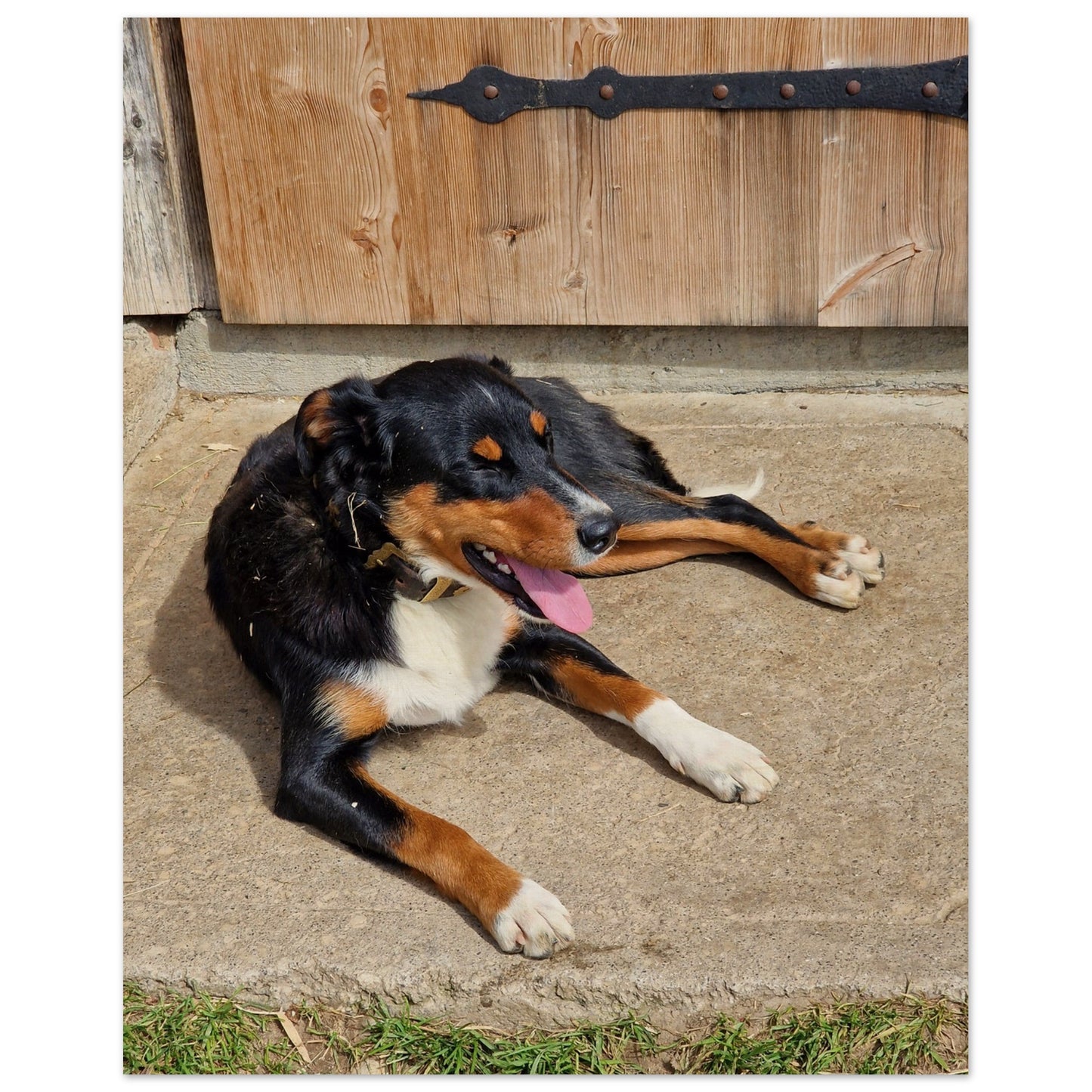 2ff97a97-c358-49a9-9f7a-e68edc9ea130