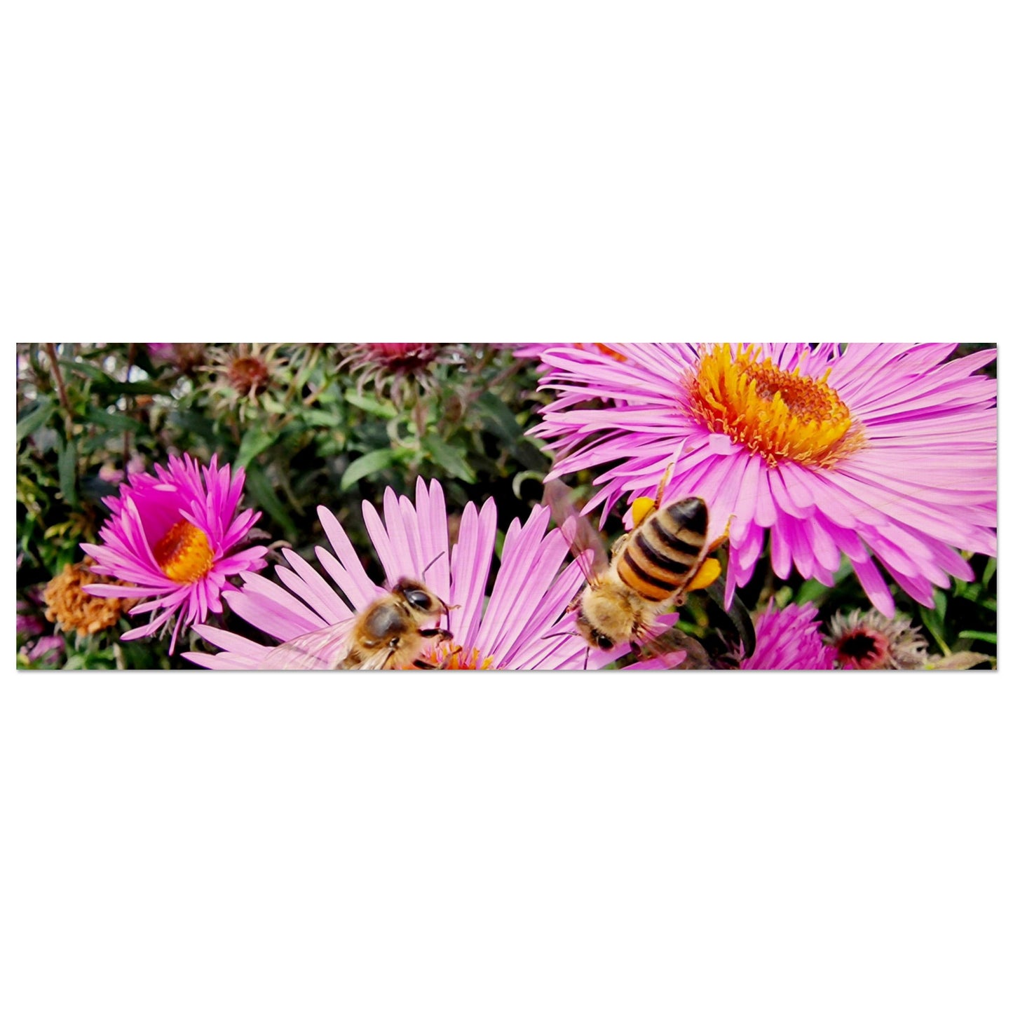 312e5a96-9022-4341-9901-29847e59e21c