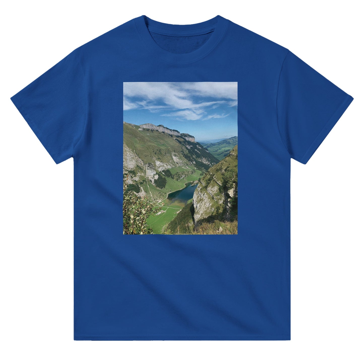 31e76109-d96a-4690-b09f-f7f171005695