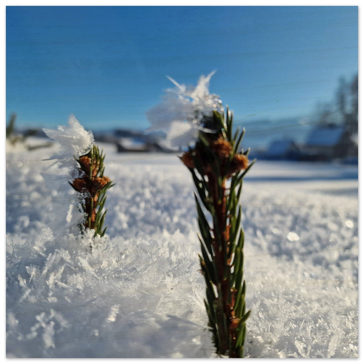 328f1c23-eaf2-4493-b2a4-0eb6990013b0