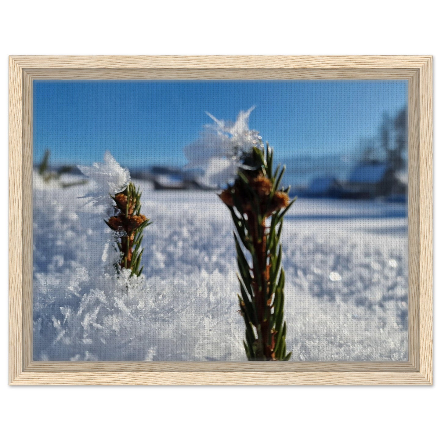 32e823b8-14bc-4c06-ac97-fb3d23cfc290