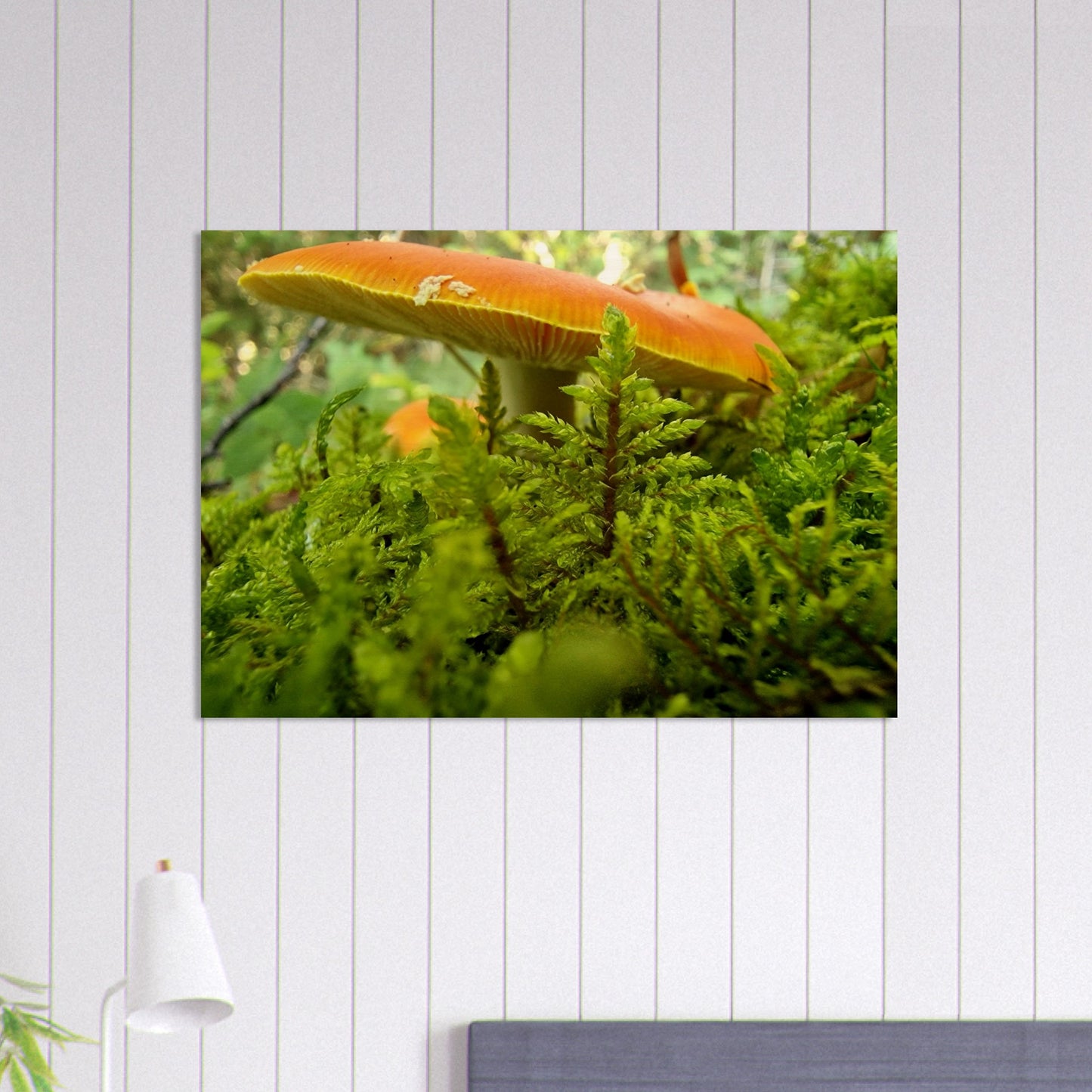 3499b964-3159-4a3f-83b4-19abc65b99cd