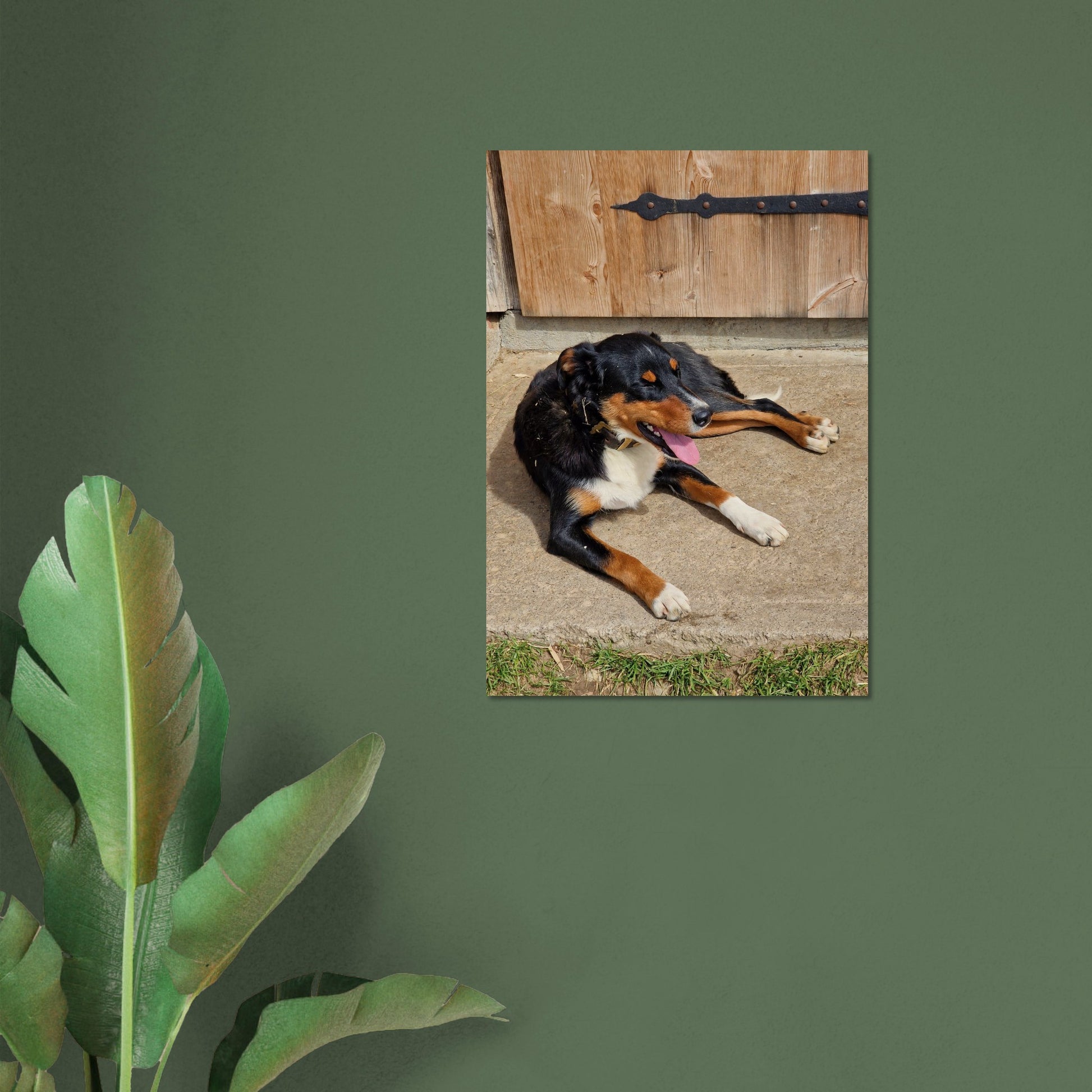 34e51e16-4b49-43d0-93bd-01868fa71306