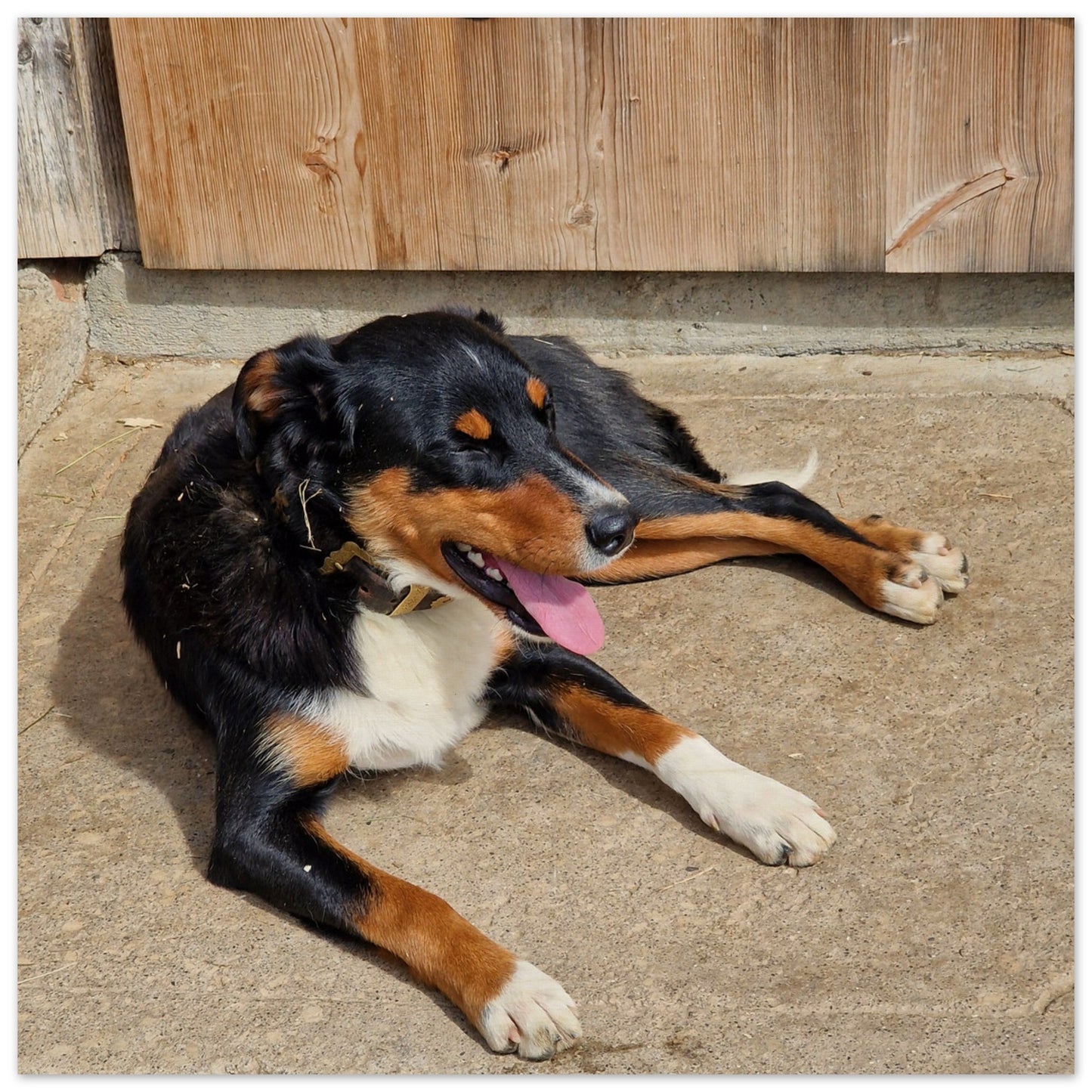 370d3e87-9acd-491f-8fa7-4612f0b76957