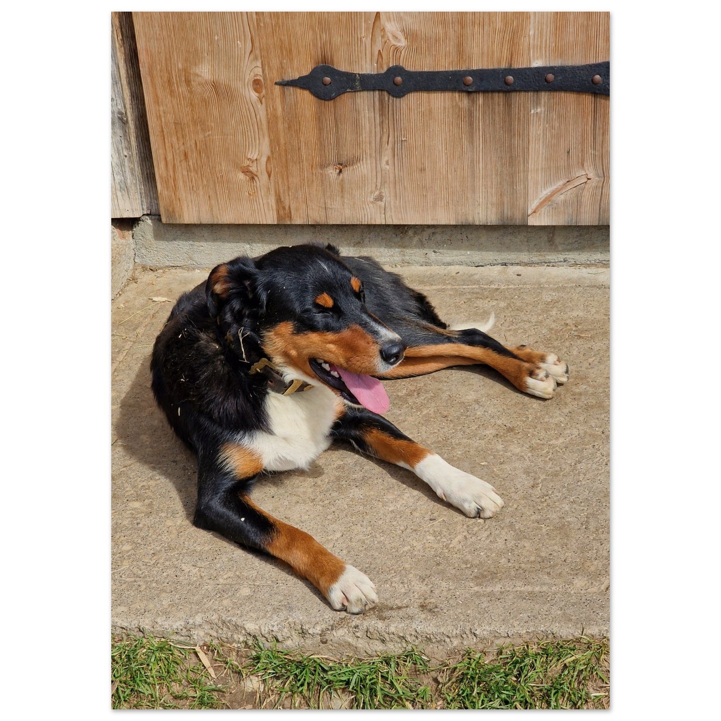 37b3c1fe-14fa-47f7-a1be-9f9cd5fdf048