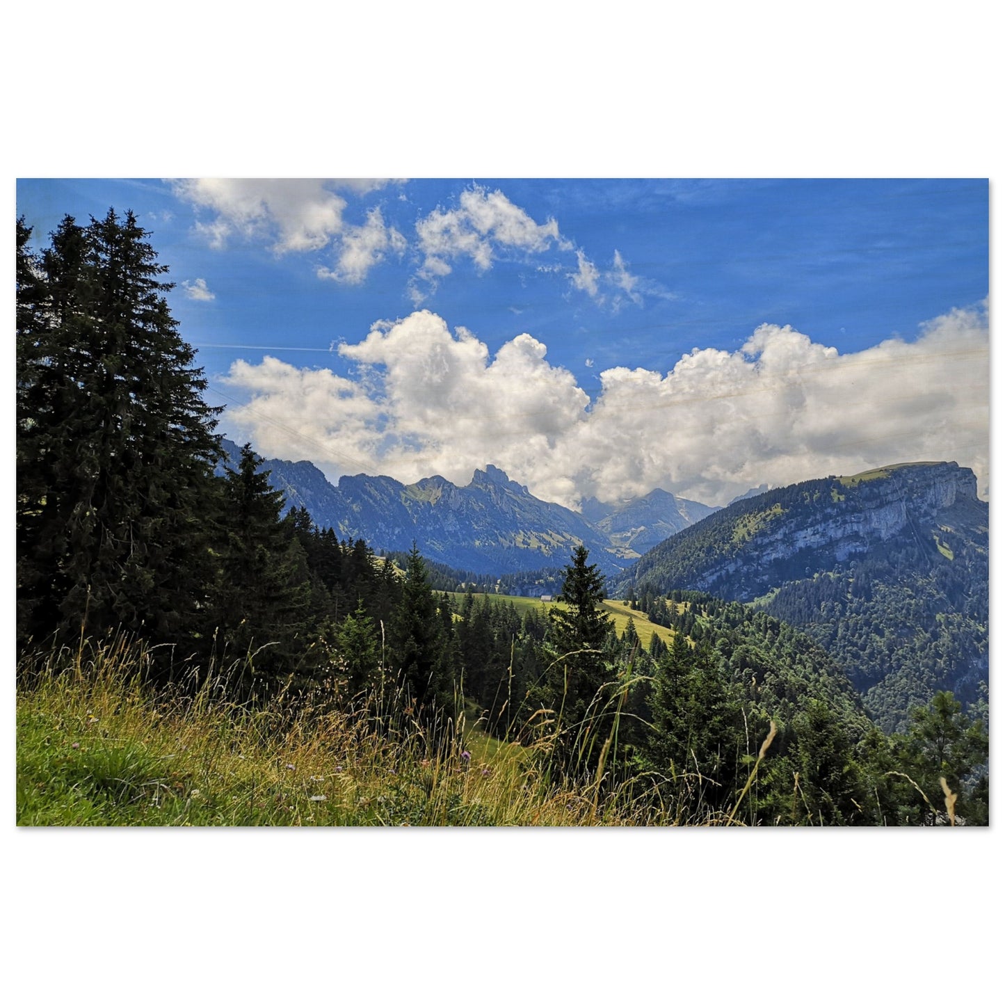 38eb5c2e-9c1f-4c82-b001-806108117b47