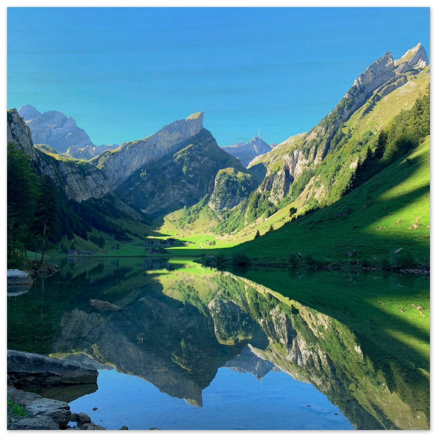 3aaf4045-e514-403d-9875-5f62bcfc26c6