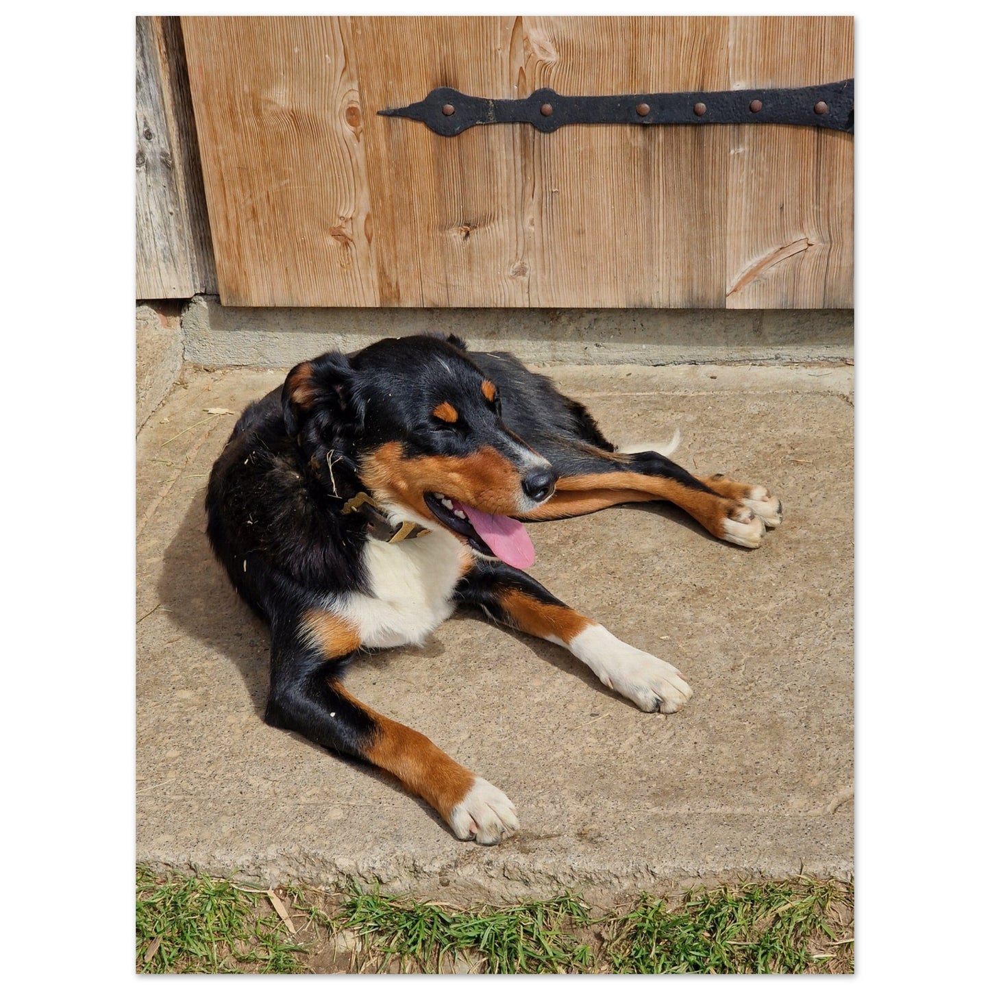 3e032c87-e7ad-4916-902d-48b963af411b