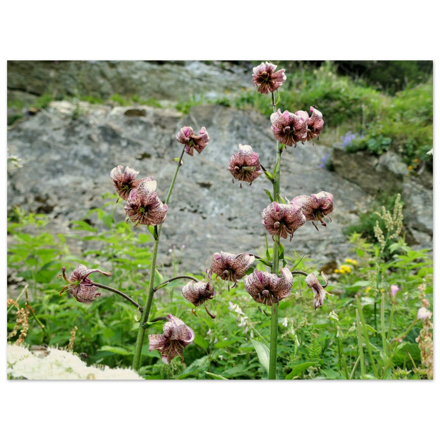 3ed5f4c5-5c09-45d1-84f3-3a1c3dfb11d3