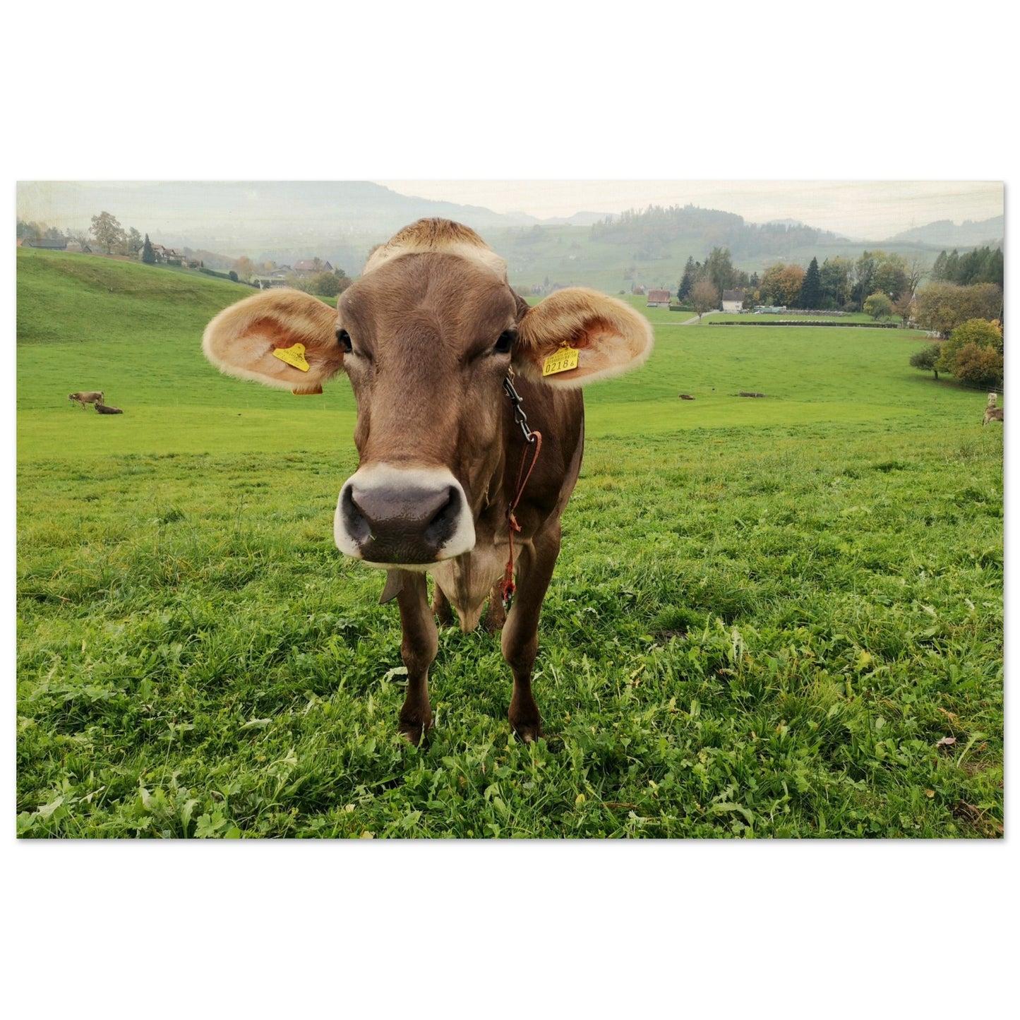 3fd92b6a-ea29-4402-b36d-e8a7d4e1276a