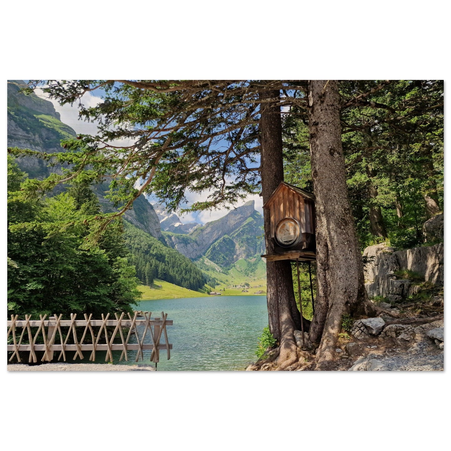 401c2305-61eb-43ee-bbbd-239e74a1e1f8