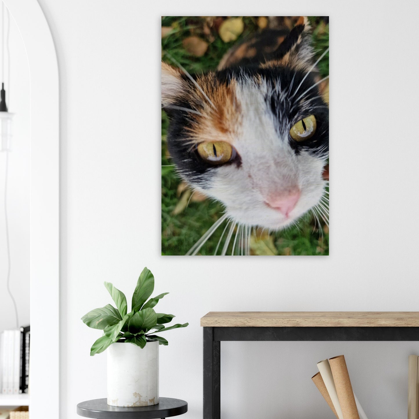 40991f34-f1e3-4fa0-8864-280bf7af5c5d