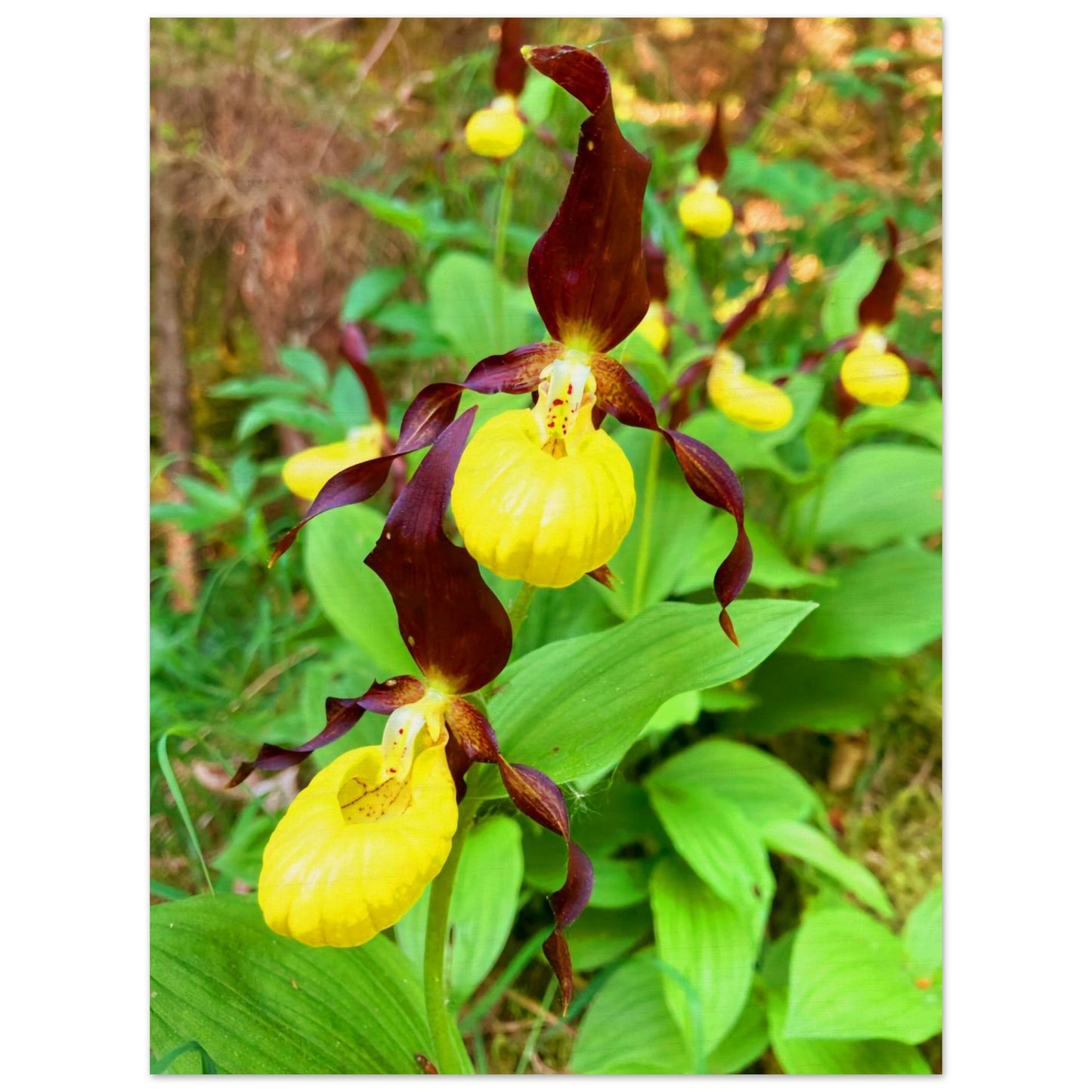 436dc24e-9708-4952-8311-0abe3bcad782