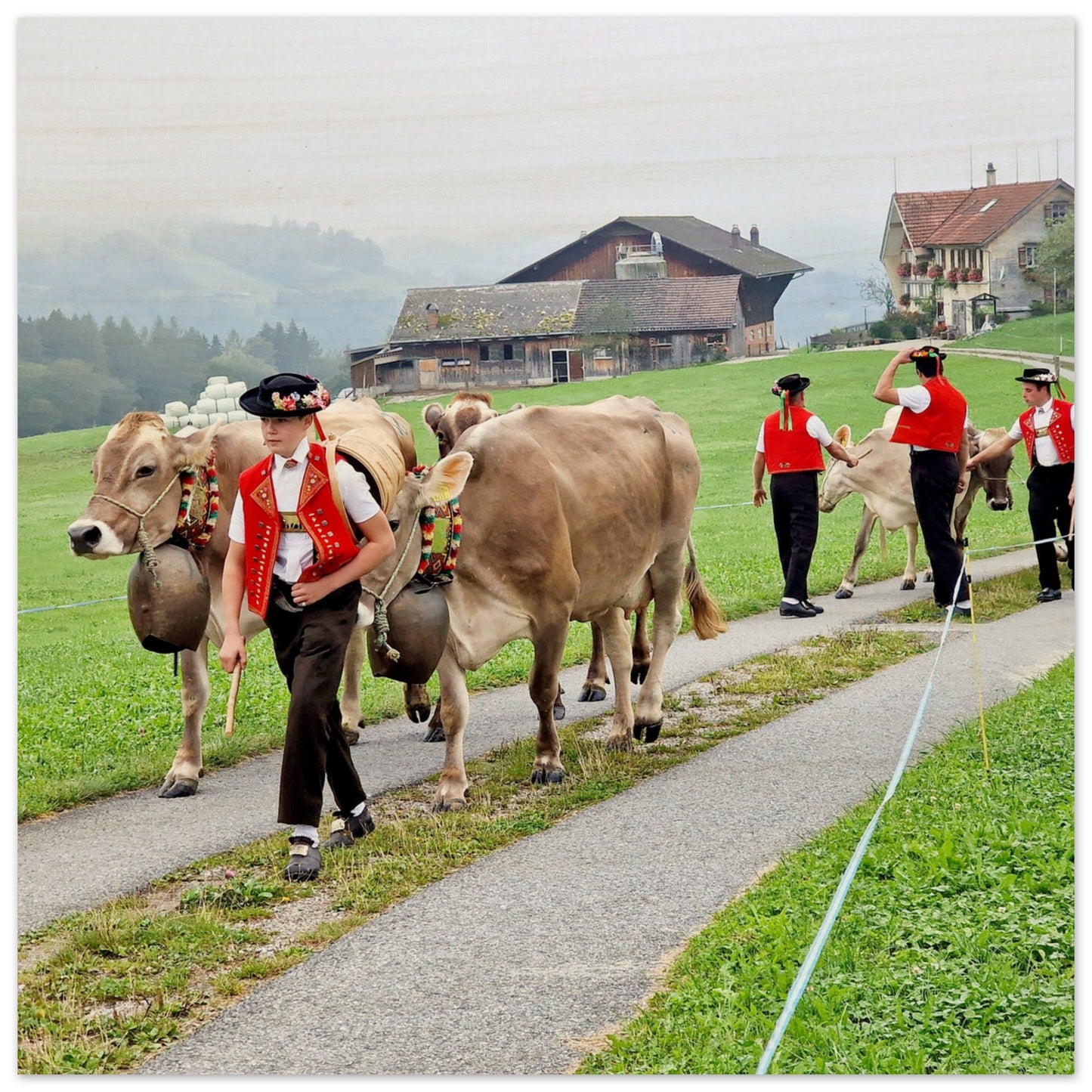 43922c3f-9629-4a80-85cb-136f196fda11