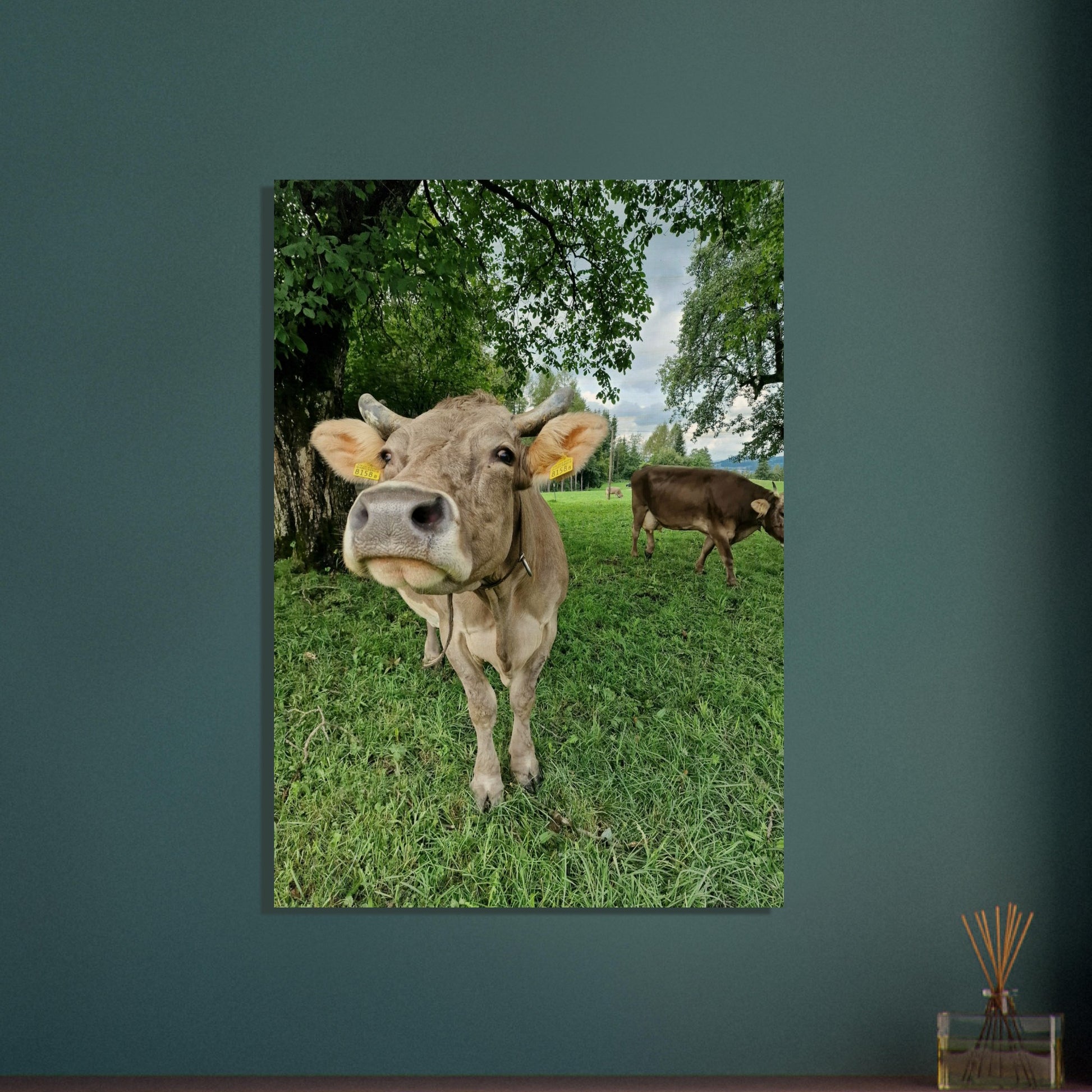 4414246a-ba82-411e-bda2-61123fa49ed8