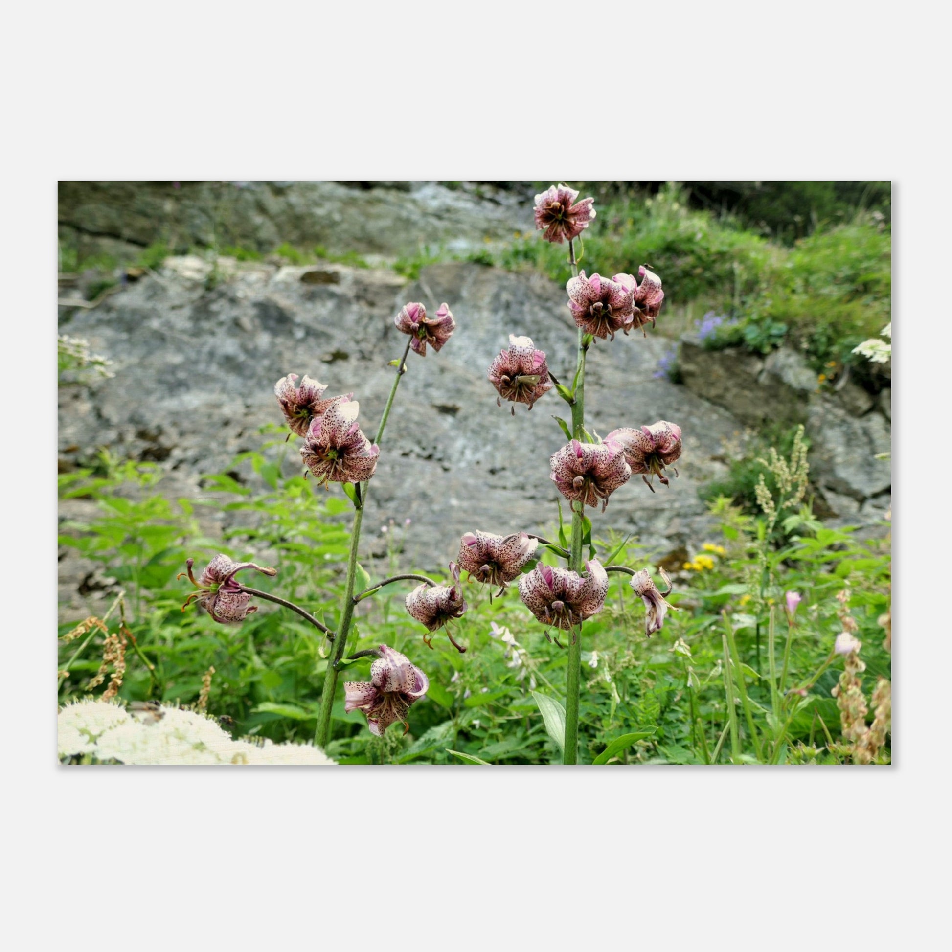 4446bfe6-8999-48db-a5a7-bc4c1ff76819