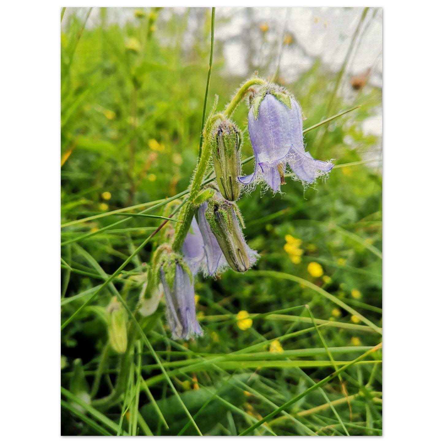 45e01786-fd42-4076-a6ac-ee80a4810667