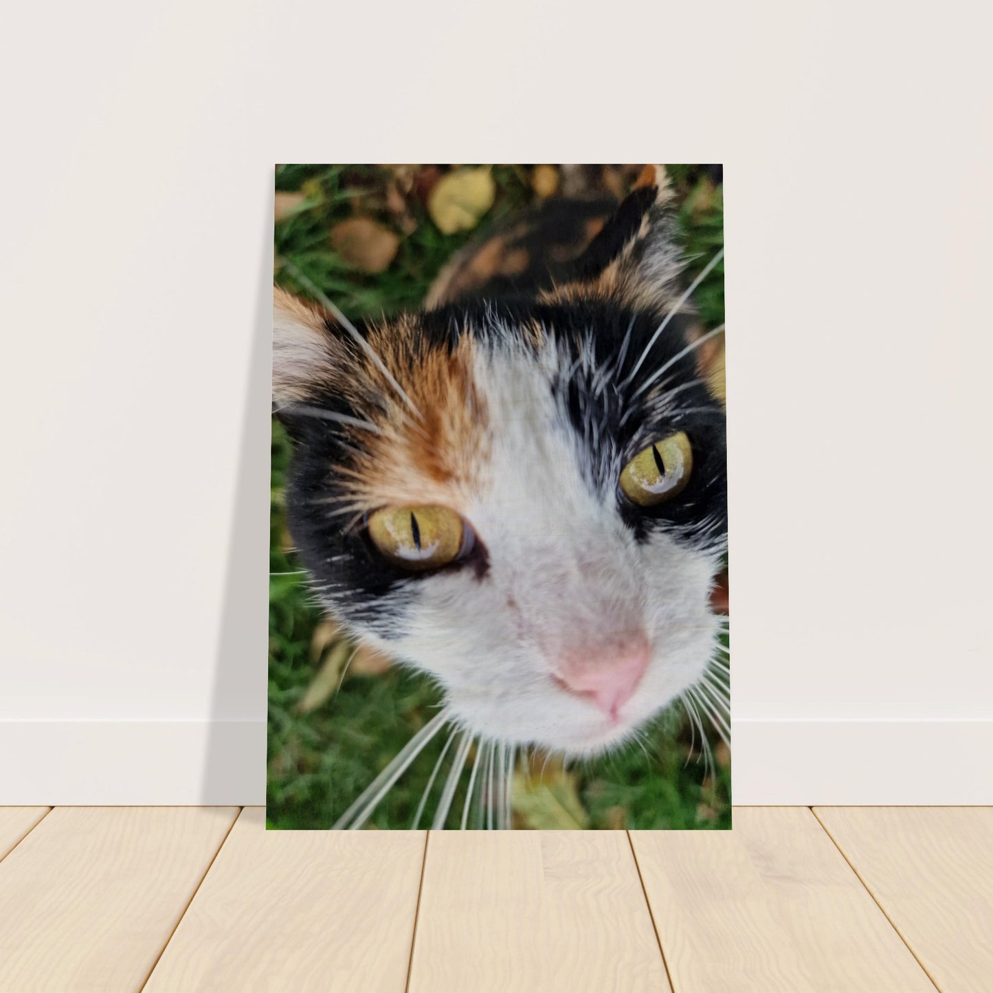 46f4c3f4-7242-4de1-8a18-1731f0280248