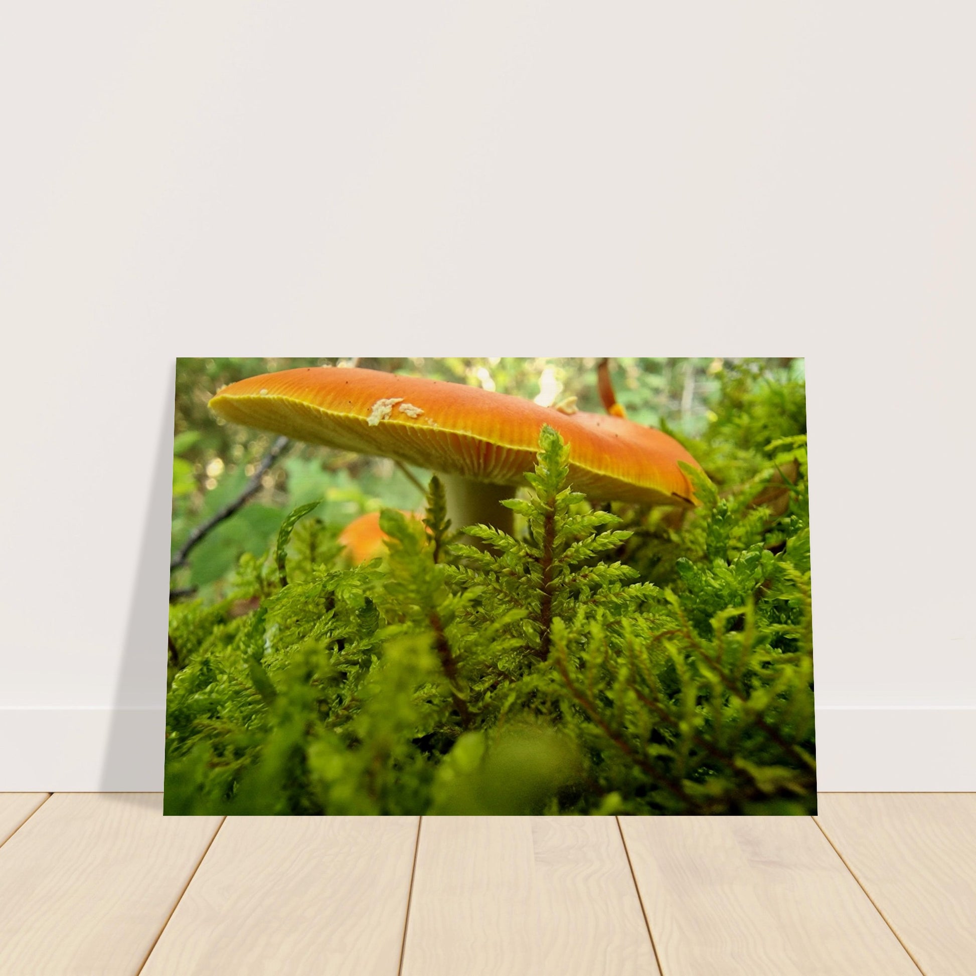 47be229b-d232-484e-8636-69f25f3d7c91