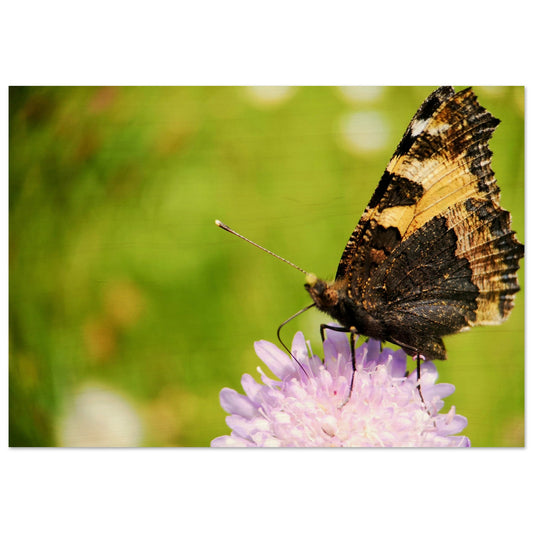 47e06a3a-8014-40ed-aa7a-d290751be019