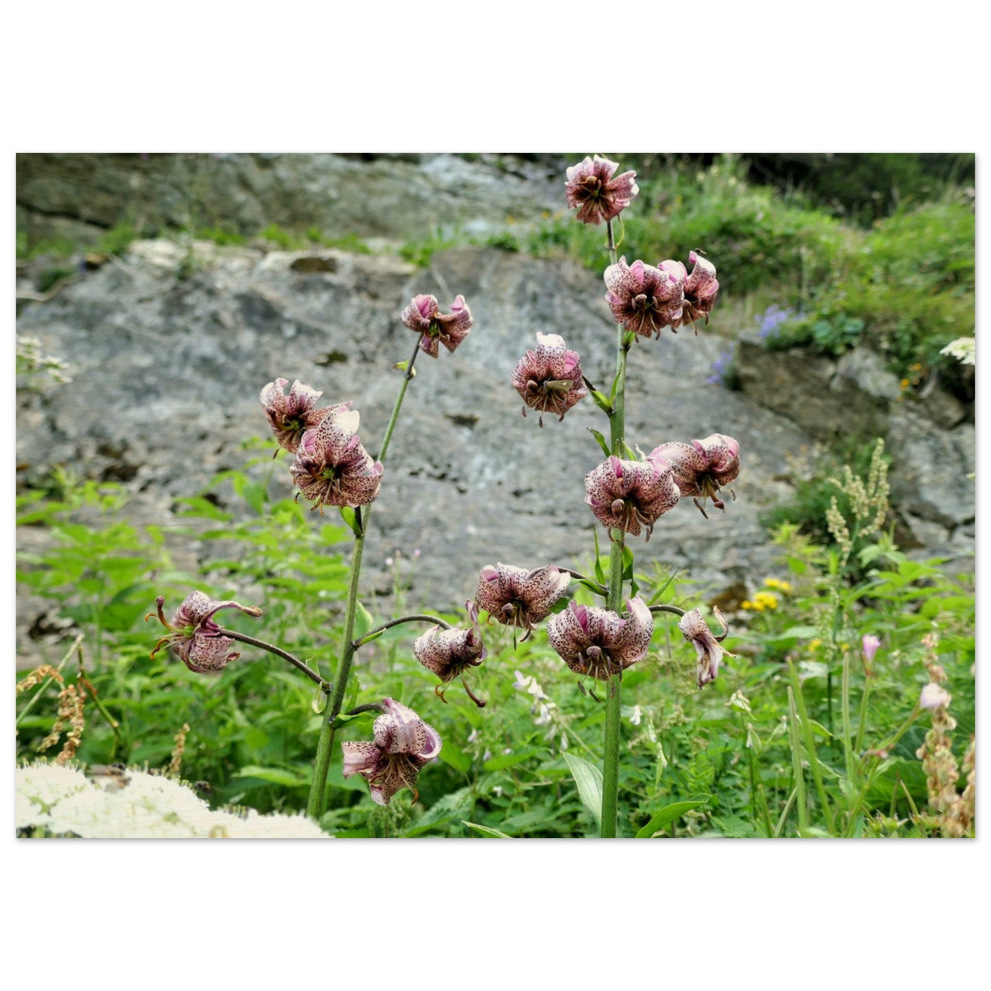 48747a06-ffbe-4144-a43f-ff76449b9cc6