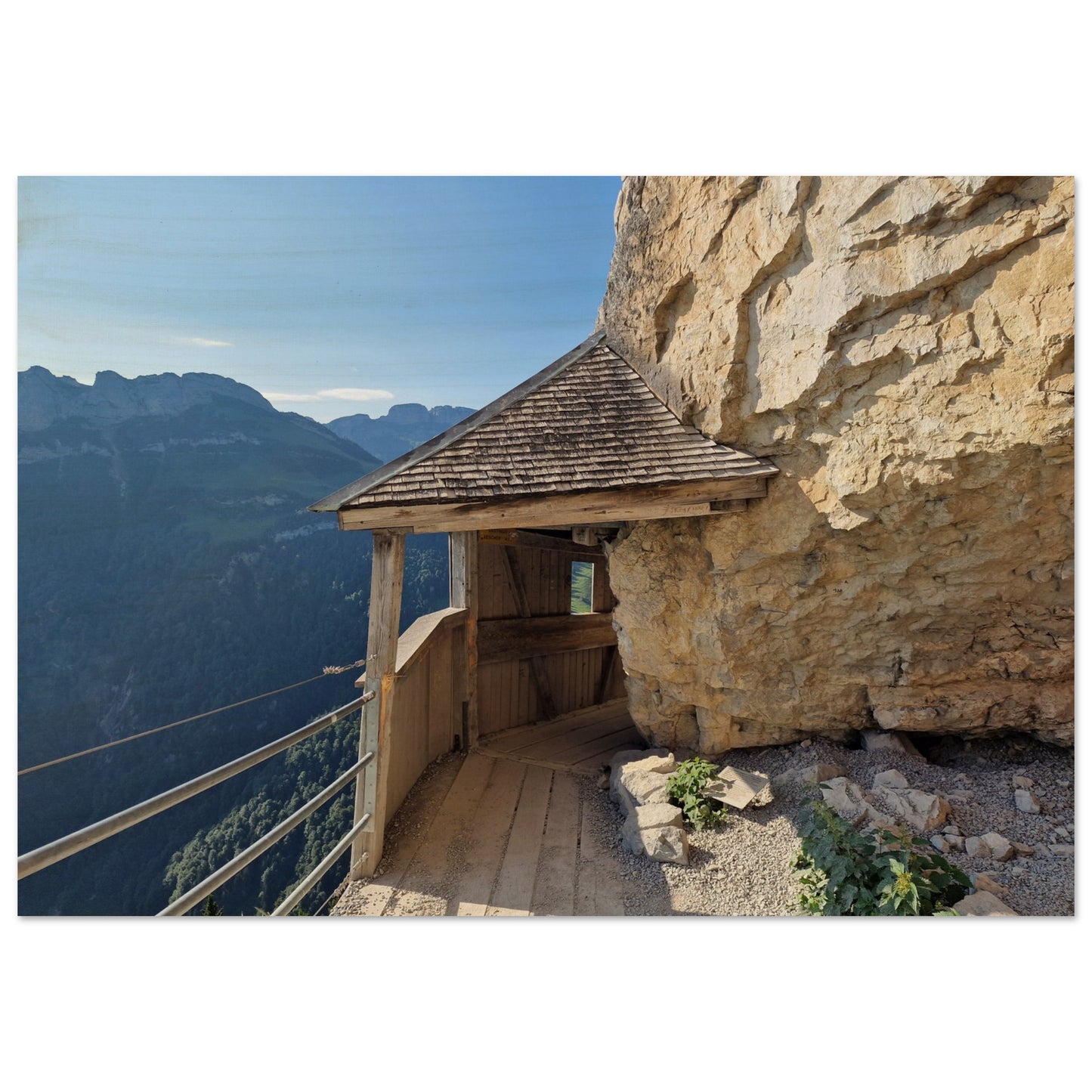 49c0c6d3-a7bd-4839-9957-c6ebc2e9c4f3