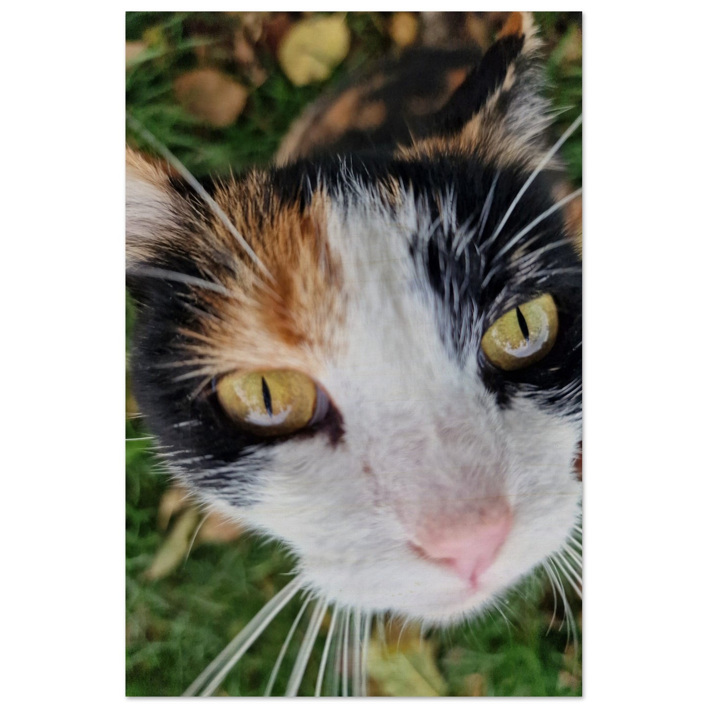 4ab349fb-c29d-4fb5-a9dc-bc77bc4737b6