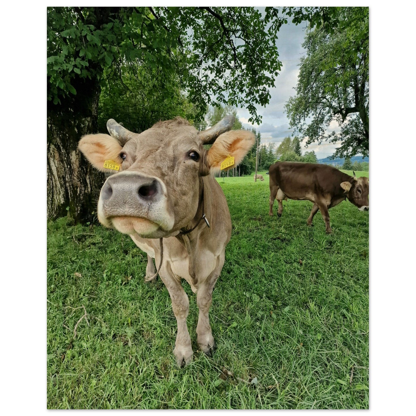 4b043a0d-15a5-487e-aabf-6ead3c991cc8