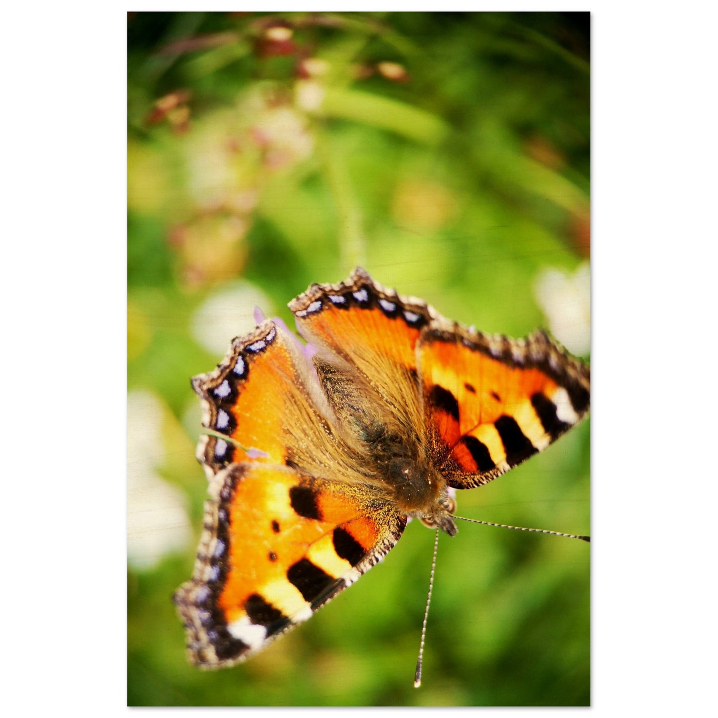 4b5387ba-2a7c-4e80-be4f-a4e3f6a50dd3