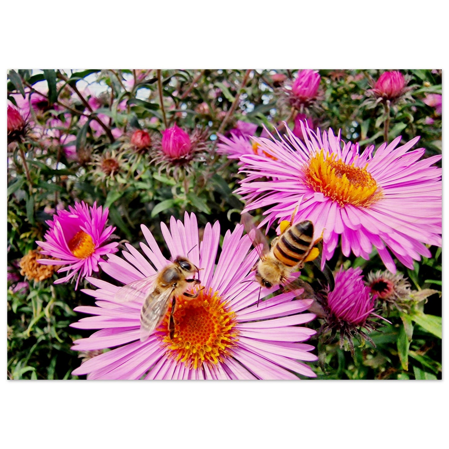 4c9e2c1d-4c0d-4f98-97b6-38b735d2d29b