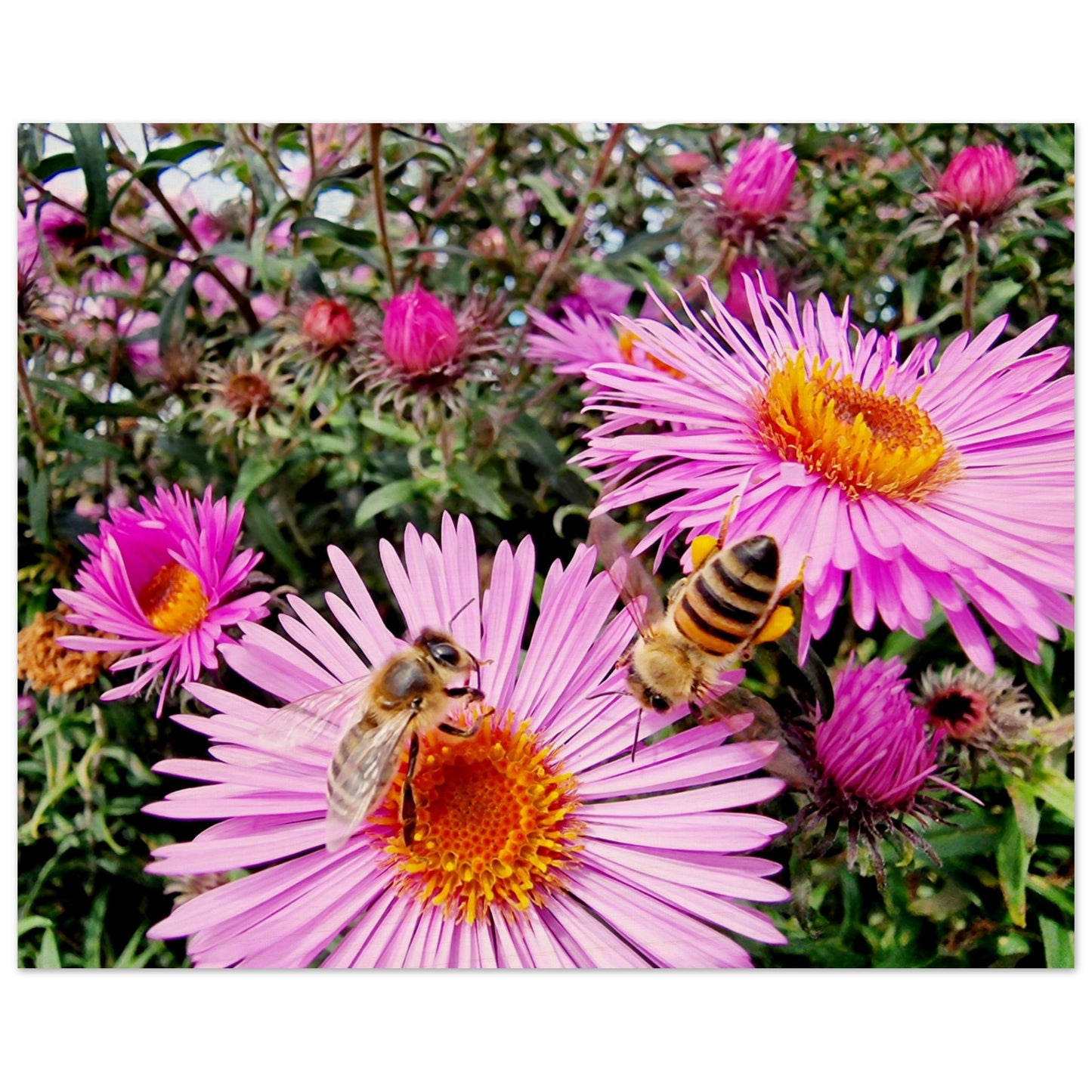 4cfb89ba-64d7-4a63-a39f-032712f37f22