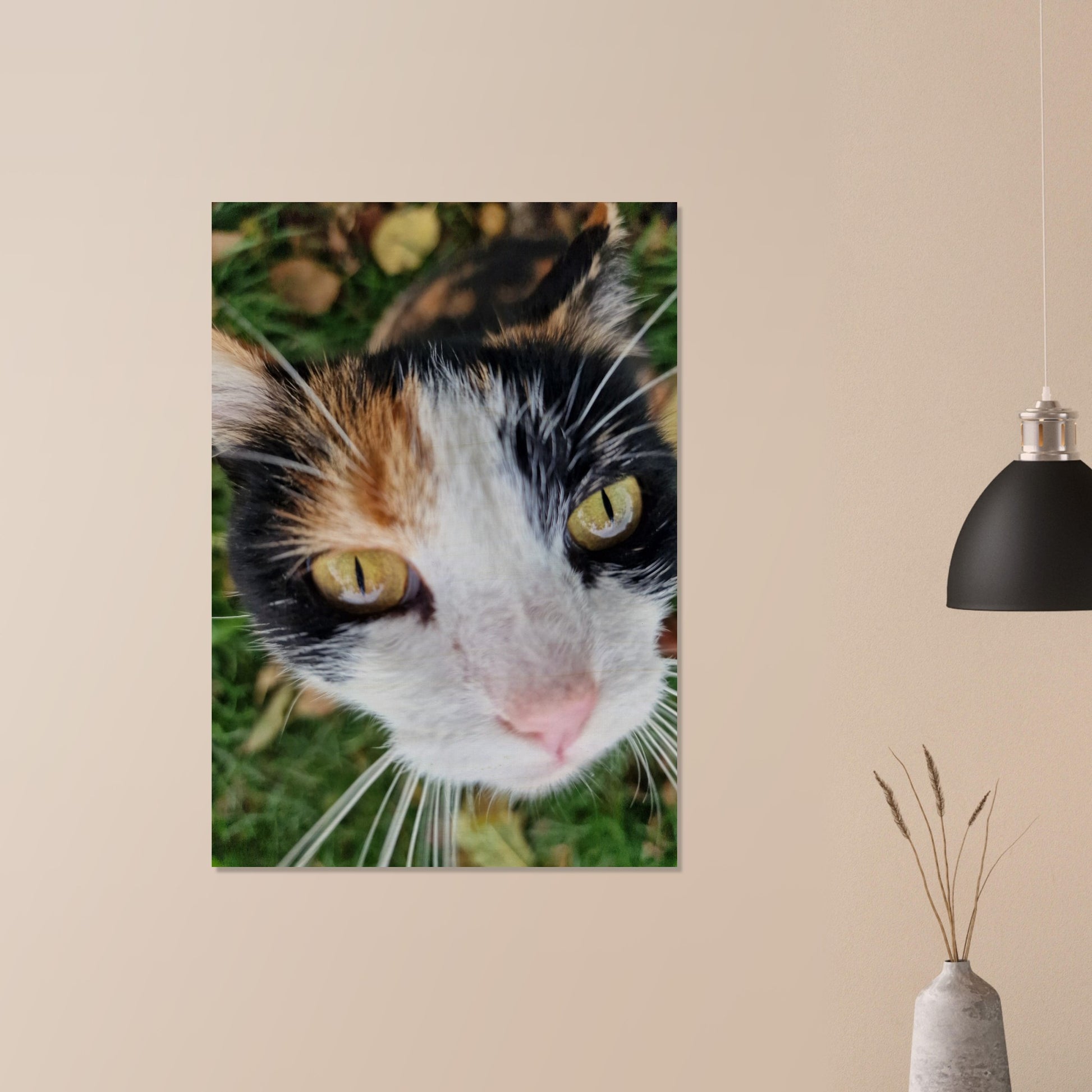 4e58ca41-08ed-4010-8dc4-a565881815bf