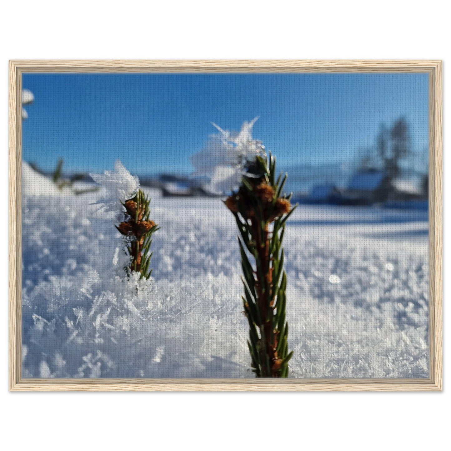 4e887c96-a663-48f6-b258-c8f7a31c6176