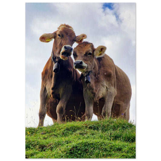 4f54b0c3-2923-47cd-8461-bd972b1305d4