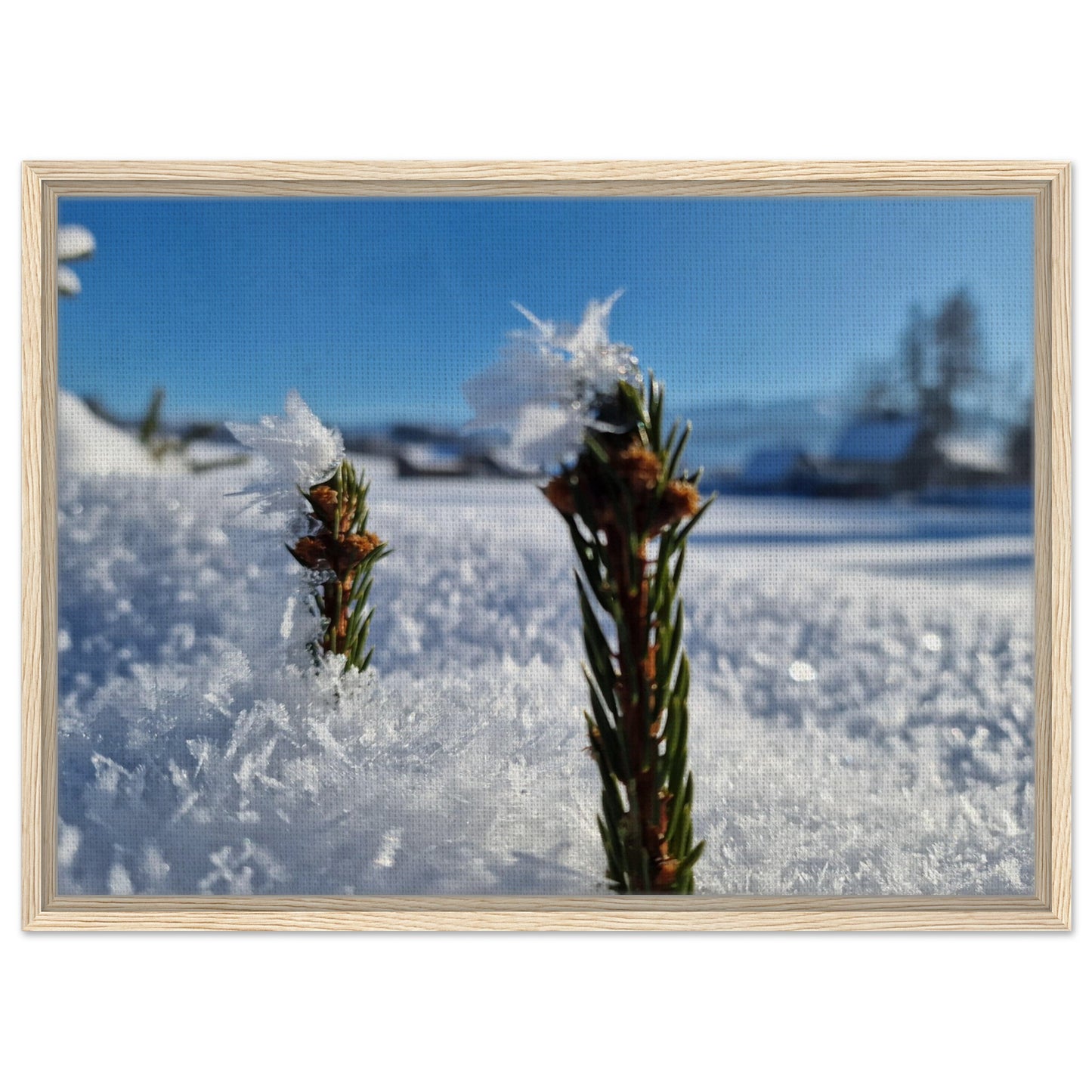 5150f8cc-15c0-43fd-aa58-82e7af81b987