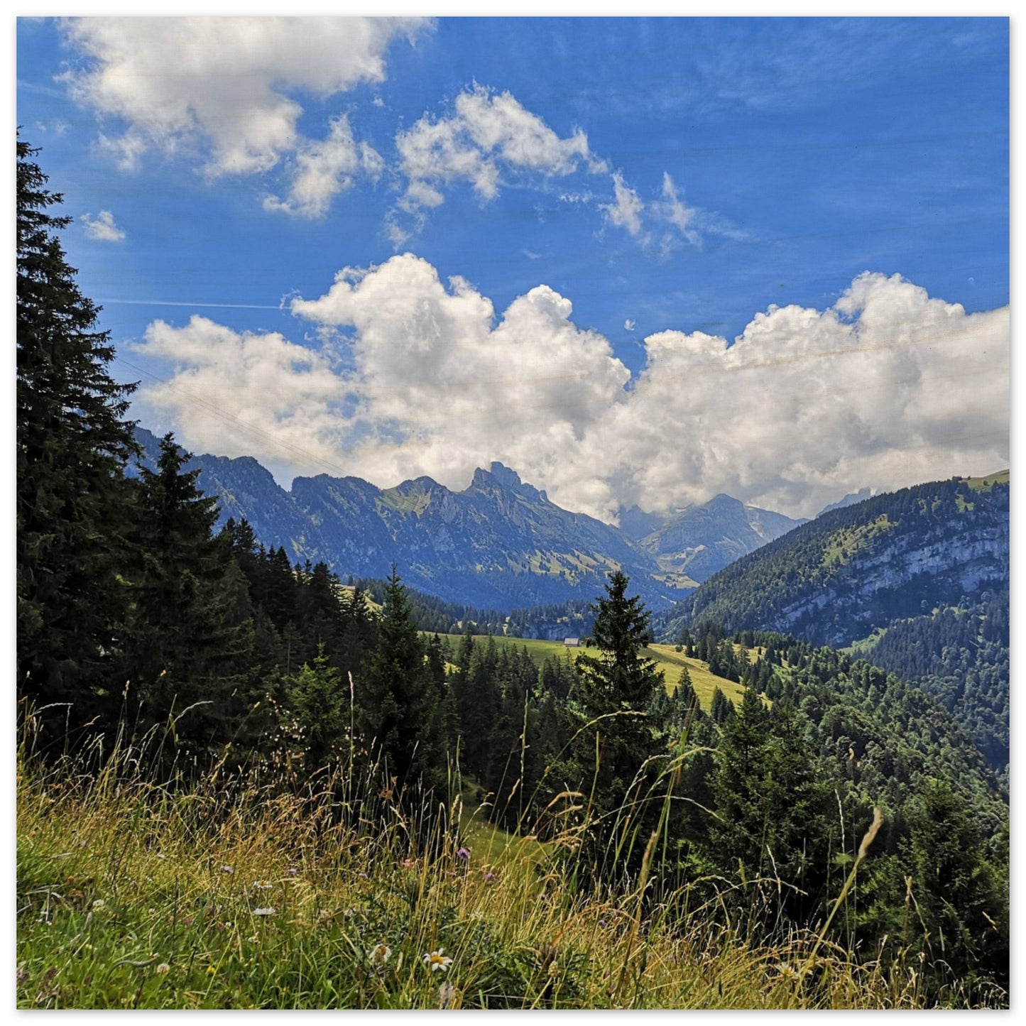 52ea1ade-ab1e-45a3-b488-5eec6f6b6c5e