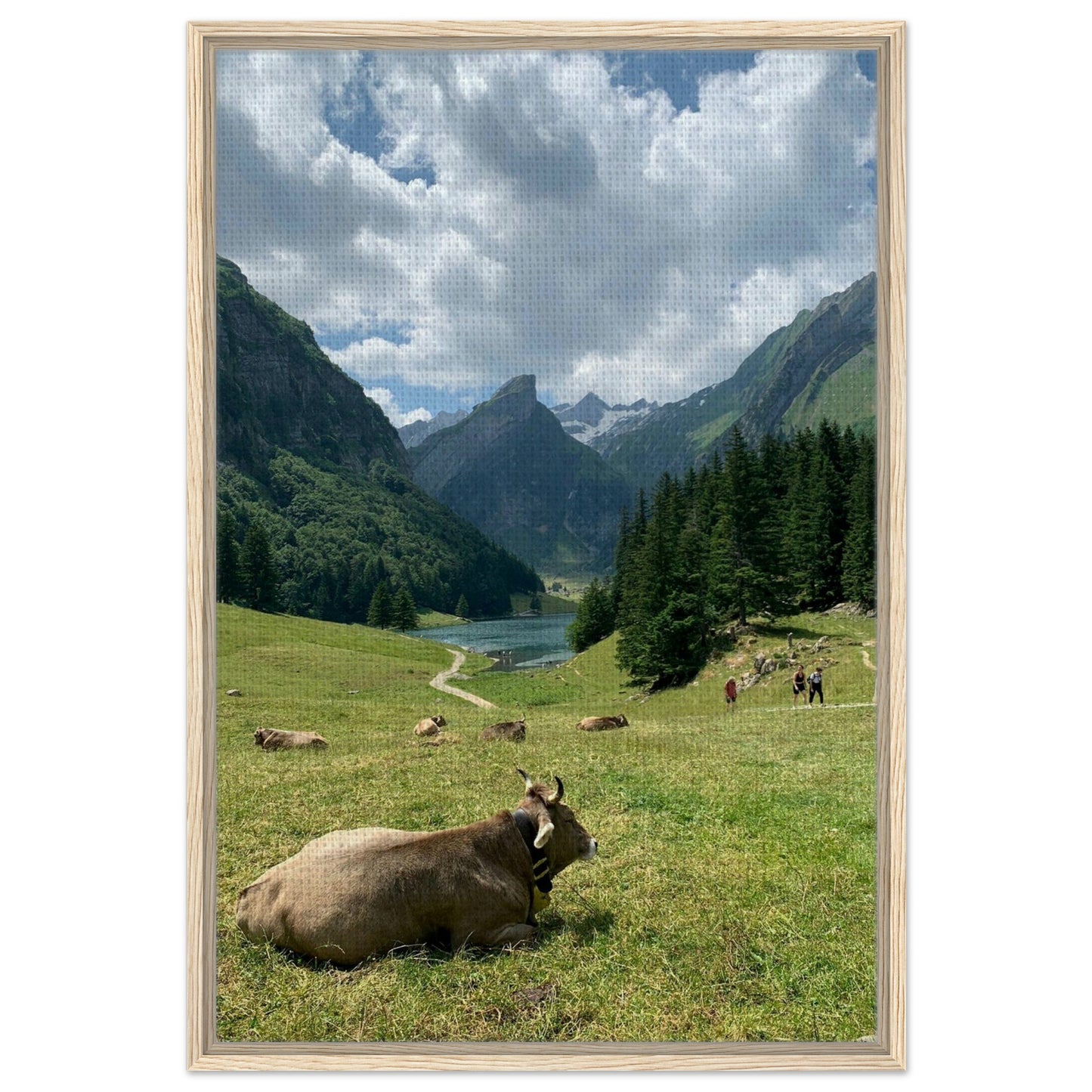 53260390-7474-43d5-9183-022d9e6c58b8