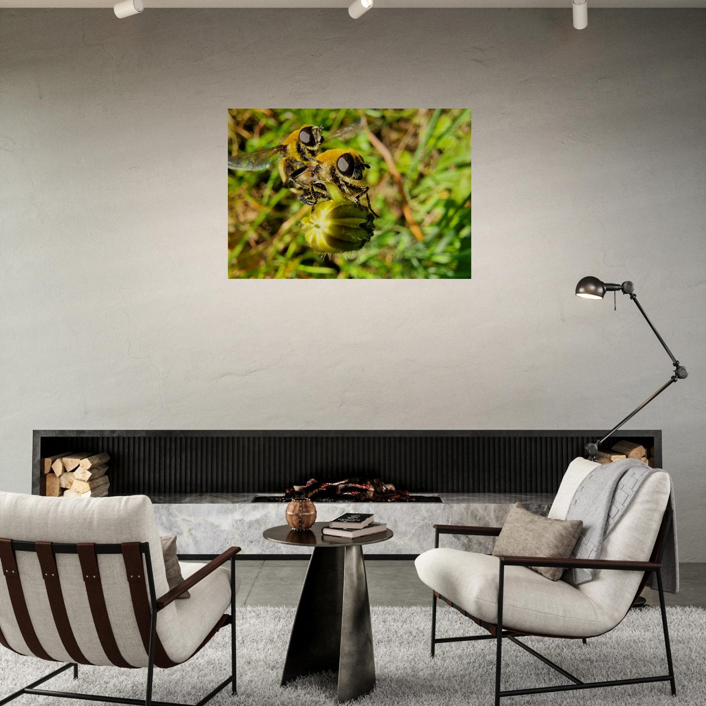 564ddf2f-88d6-444c-9b97-3e3791f61f85