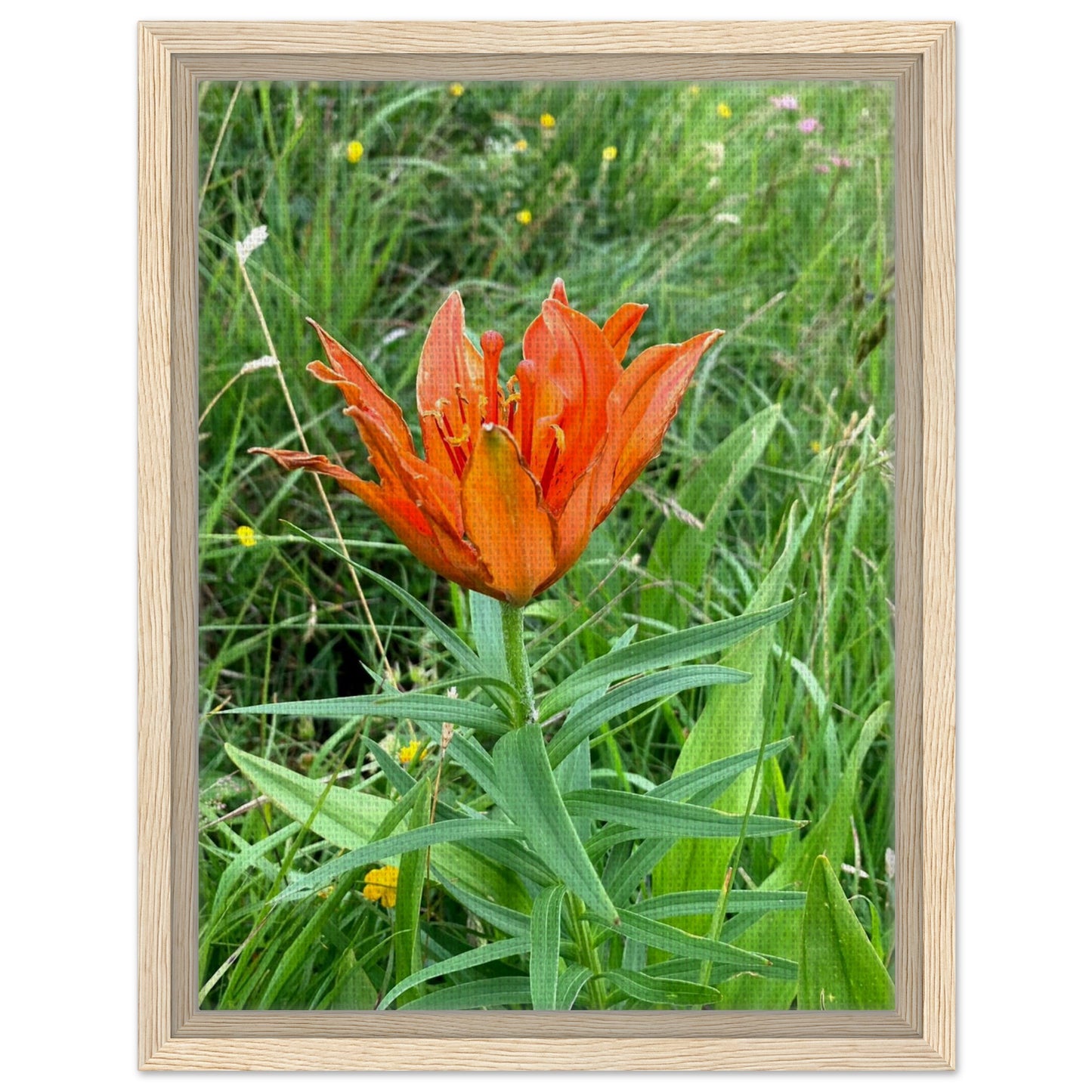 56a3e710-4d54-450c-a4a3-fcd2052389d5