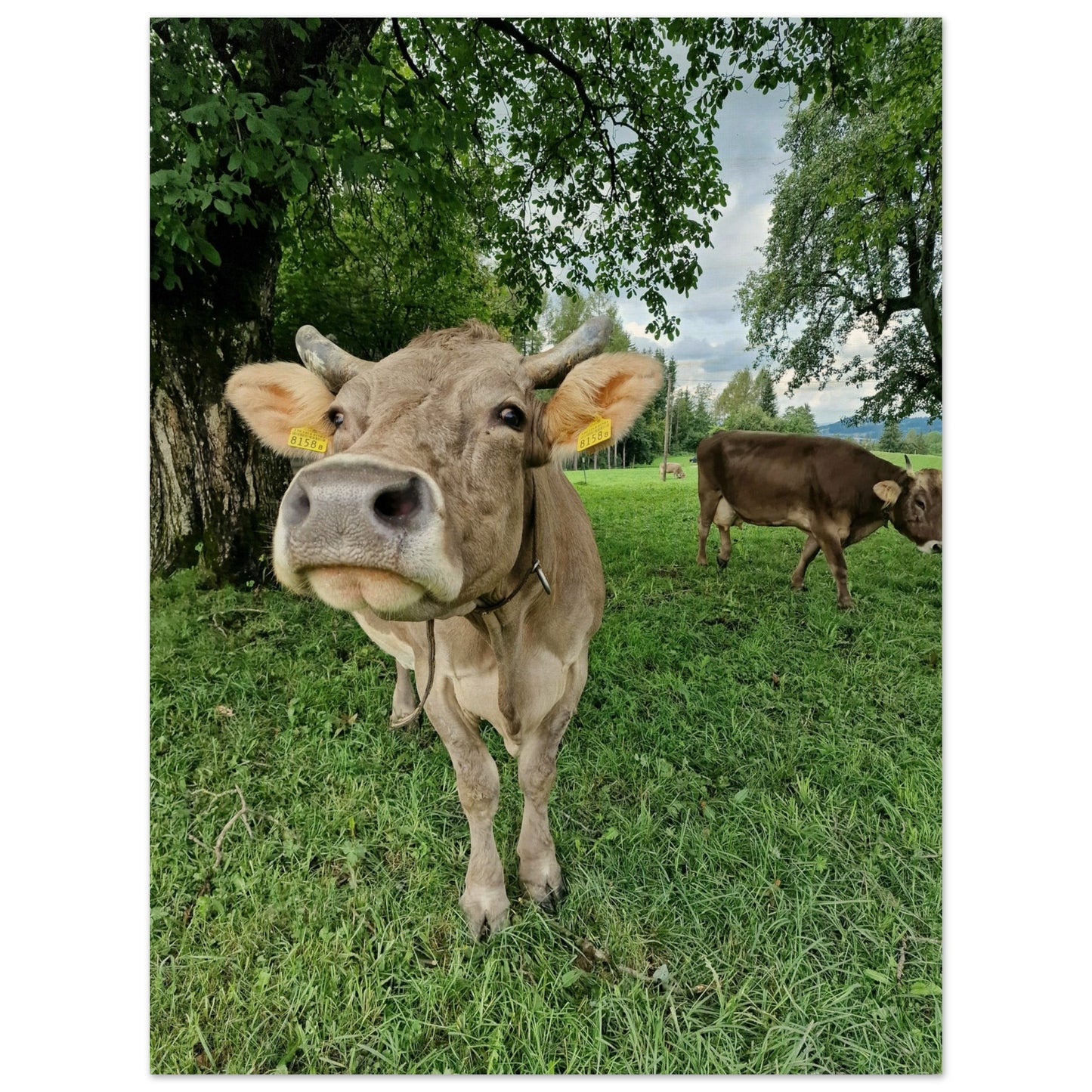 57fce6e4-8512-443d-9e5b-0c25fe4e3c0e