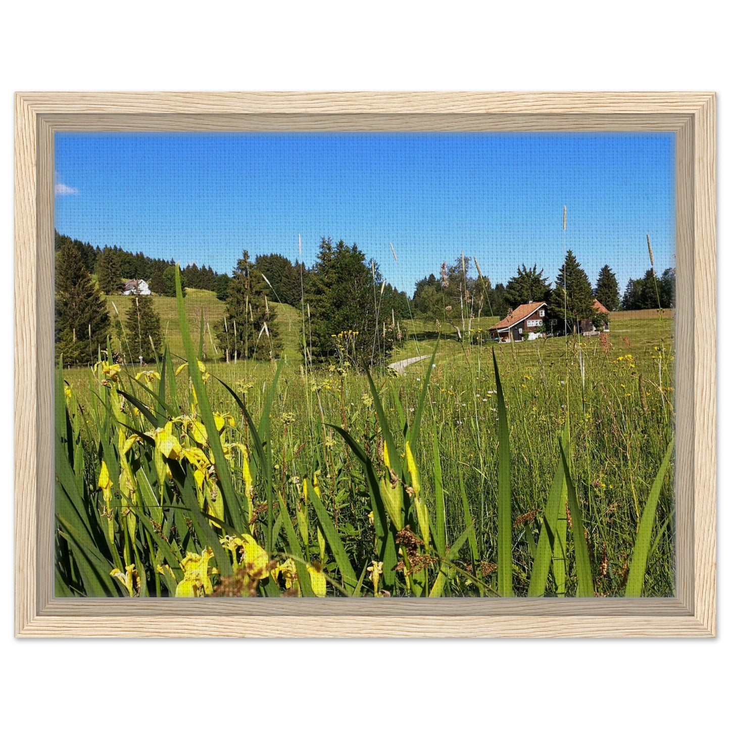 58530745-9abb-4687-802a-30063a7a36bc