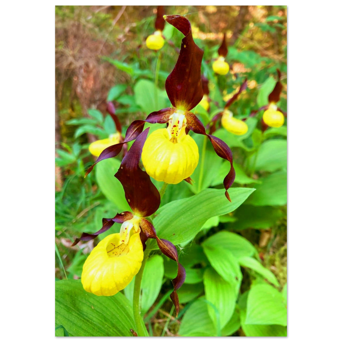 58b3e716-bfb5-43b5-8db0-f05e9ca8df2c
