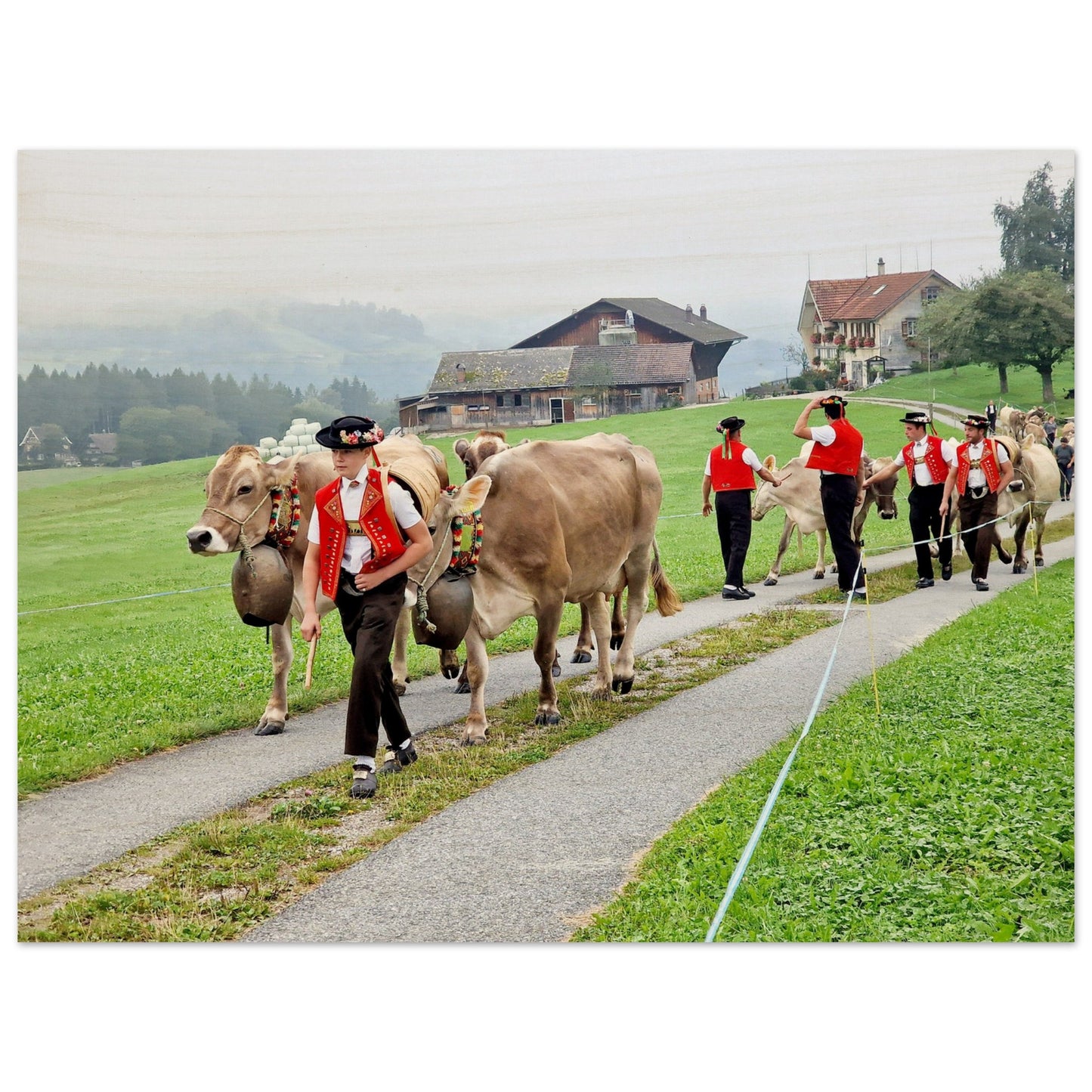 58bbd4a4-5aed-4784-b779-69198d908bcd