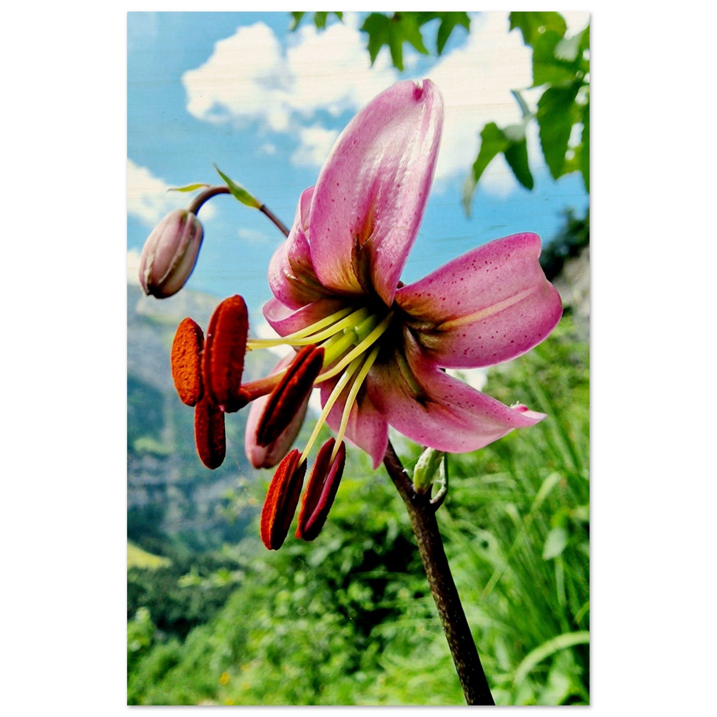 58e45607-72d5-4dbb-ab59-0dd486976fb7