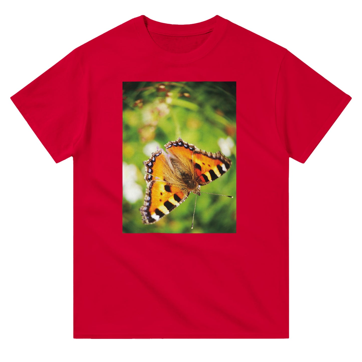 5a568eb4-ce9f-438e-ab8b-e5aaeb2b5949